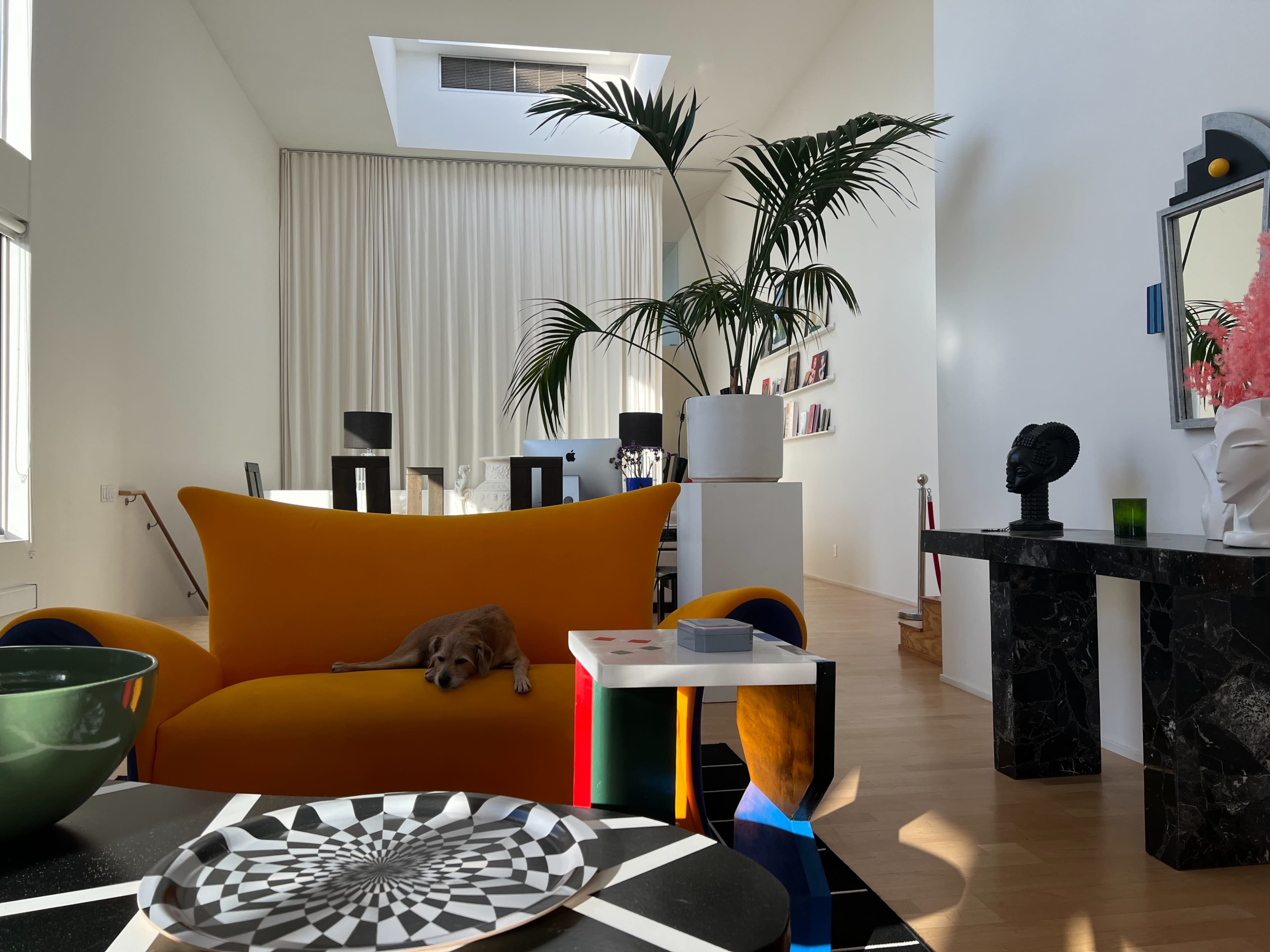 A modern interior space with an orange couch, a green bowl on a patterned table, and a dog lying on the couch beneath a large window.