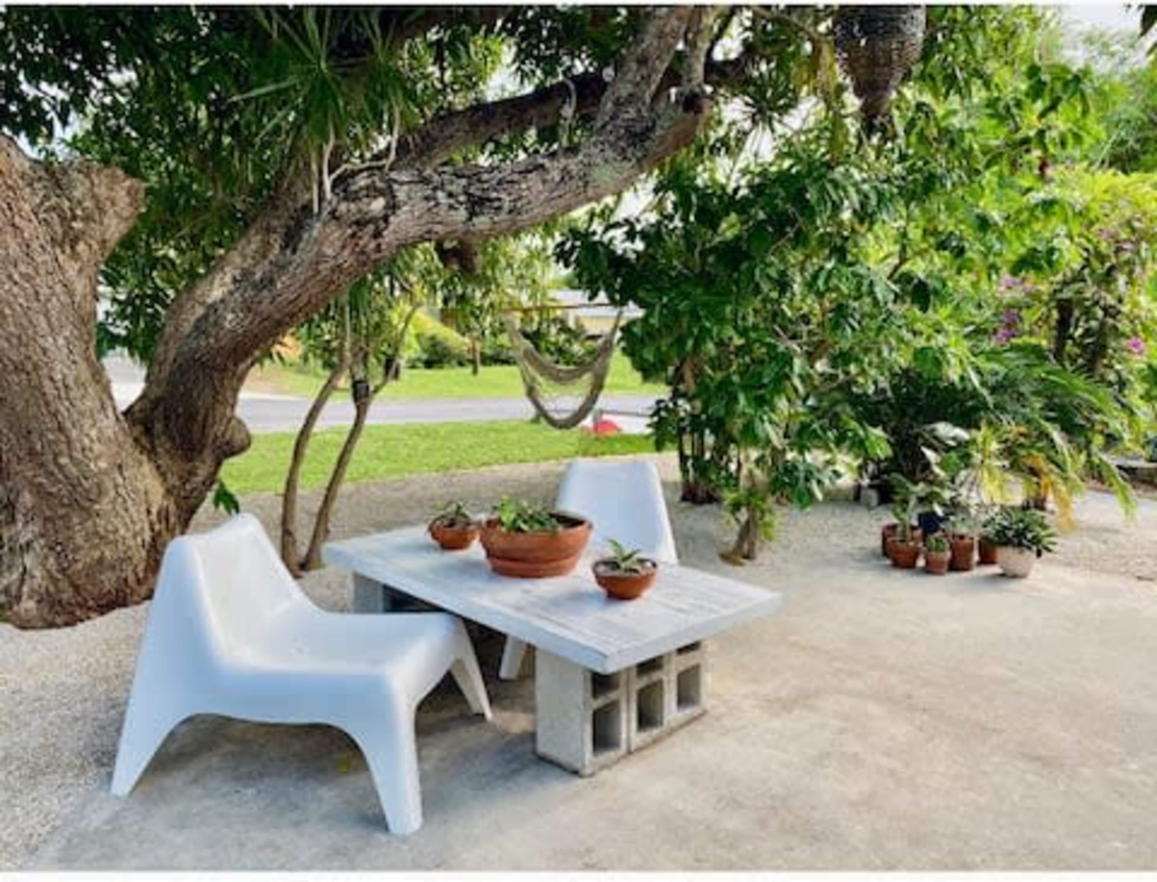 A minimalist outdoor seating area features a concrete table and chairs surrounded by lush greenery and potted plants.