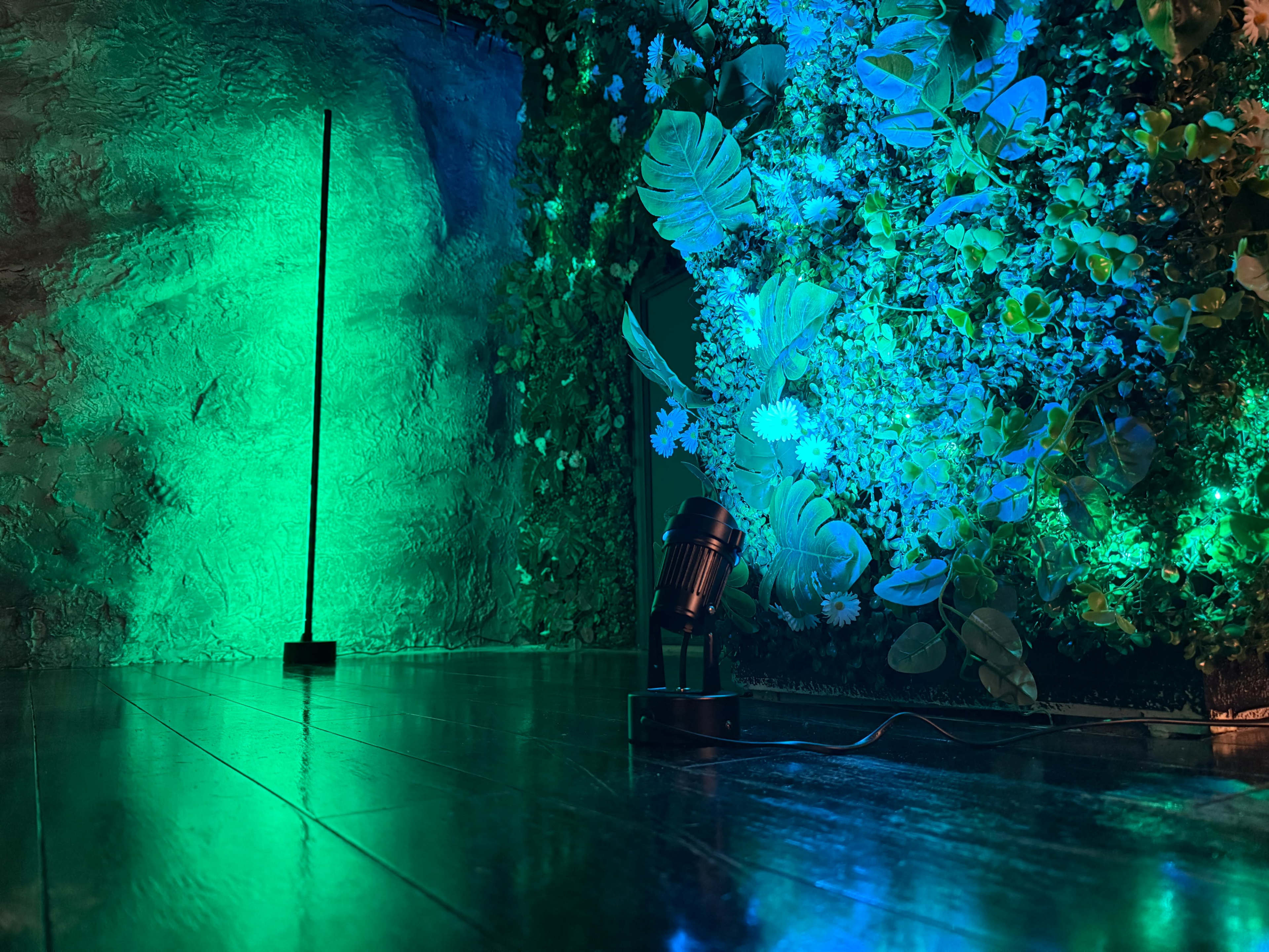 Jungle Studio Room – Photo/Video Shoots Image in Central City, Kelowna, BC