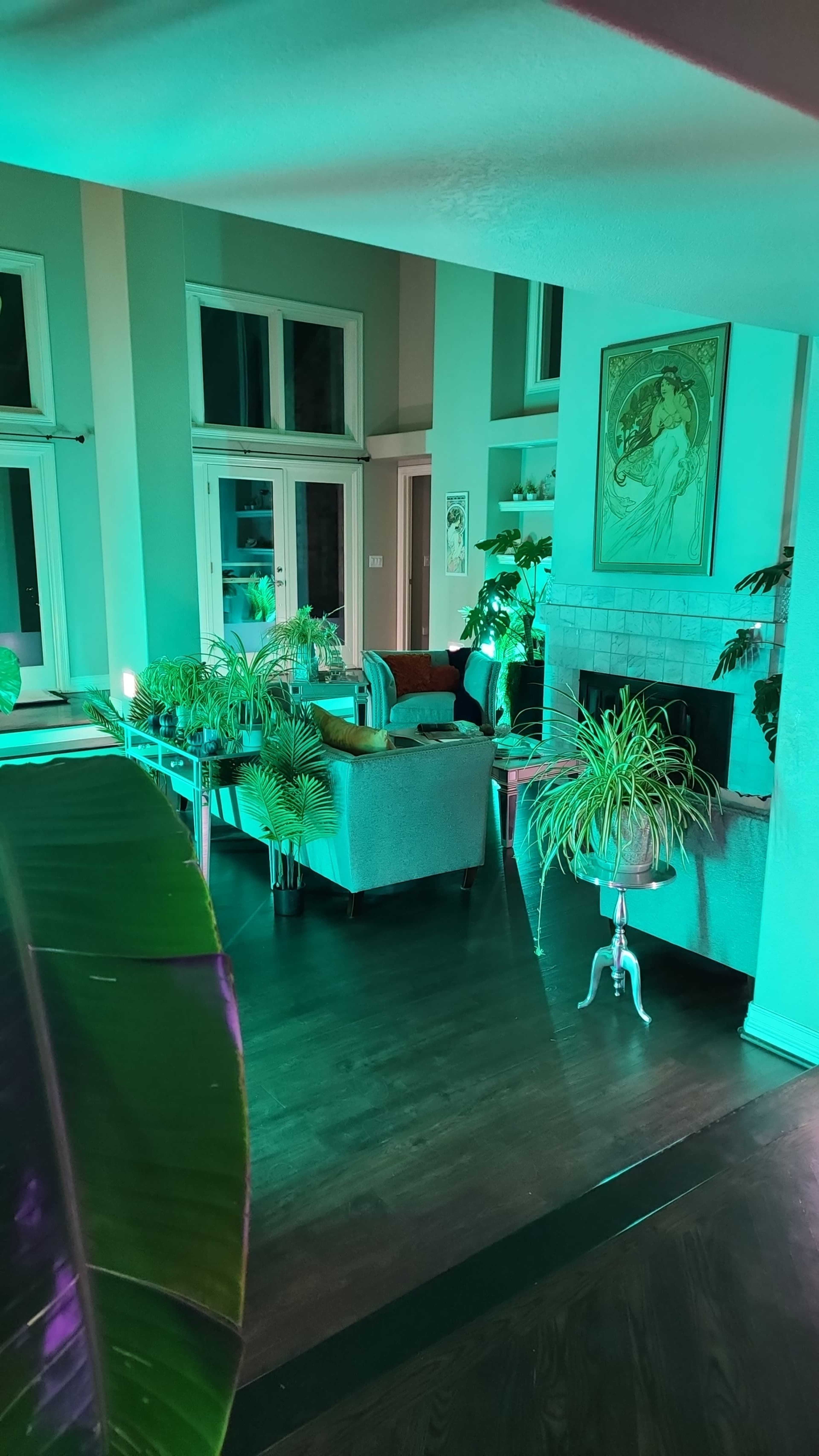 A cozy living room filled with various indoor plants and illuminated by teal and purple lighting.