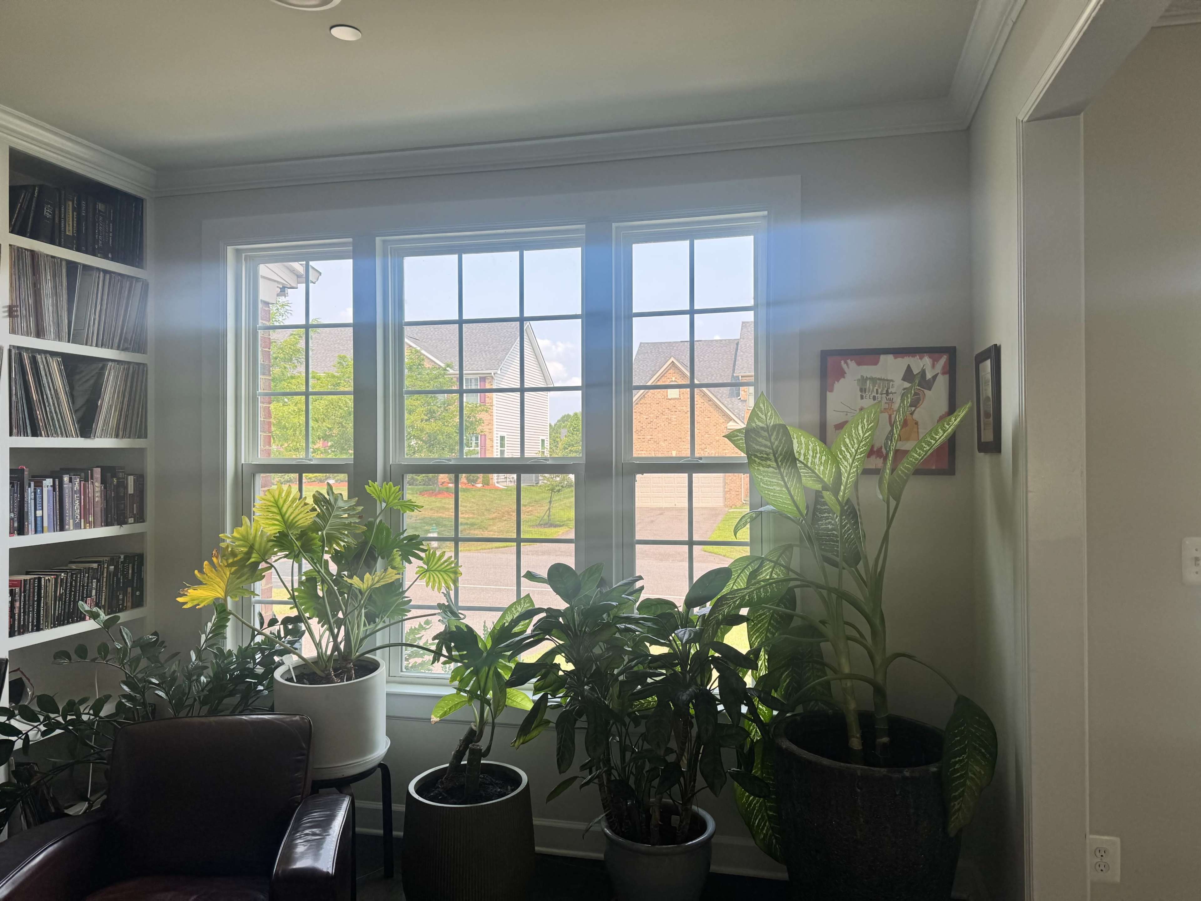A sunlit room features a large window surrounded by various indoor plants, with a view of a neighborhood outside.
