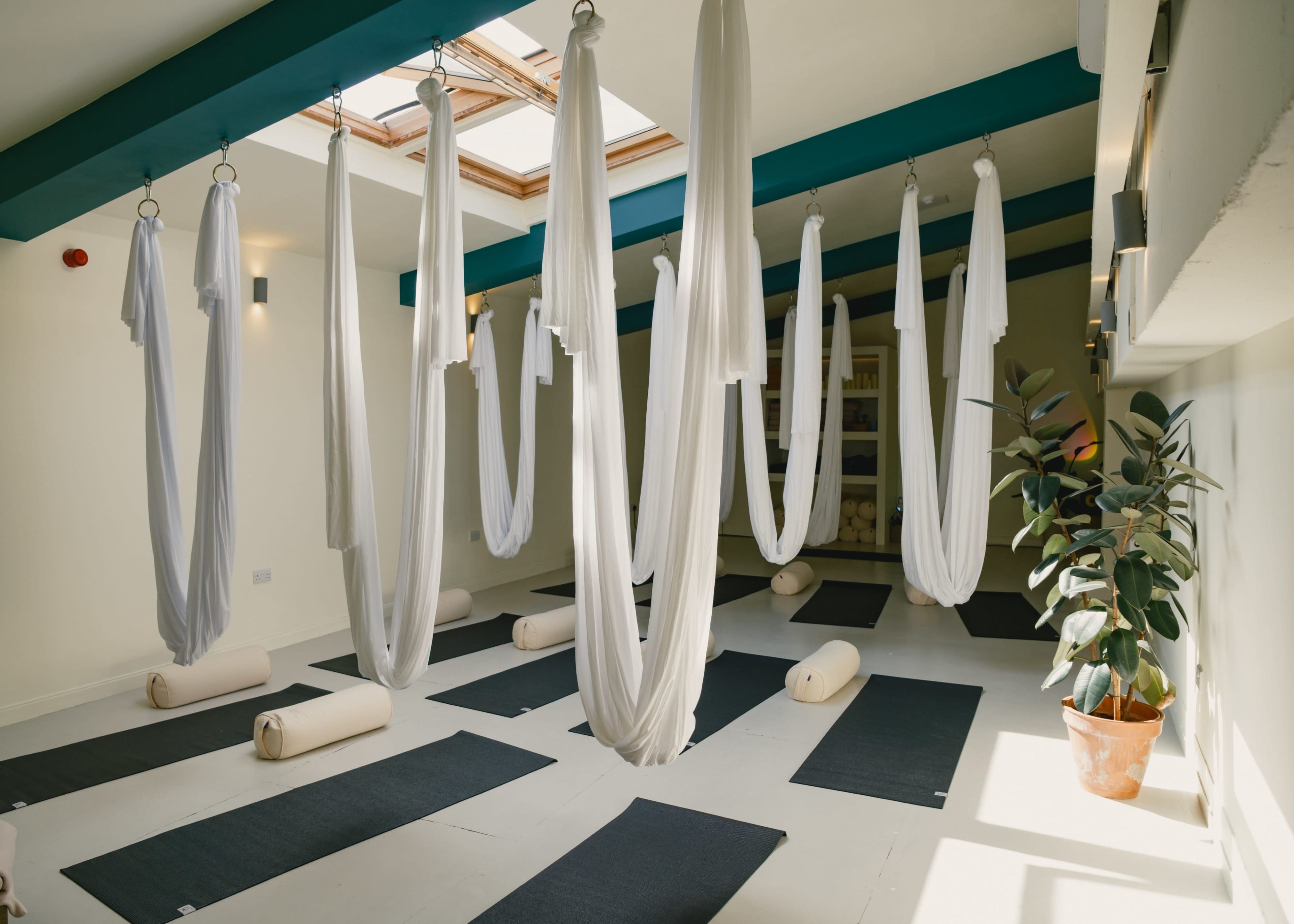 The image depicts a spacious yoga studio featuring hanging fabric swings, yoga mats, and a potted plant.