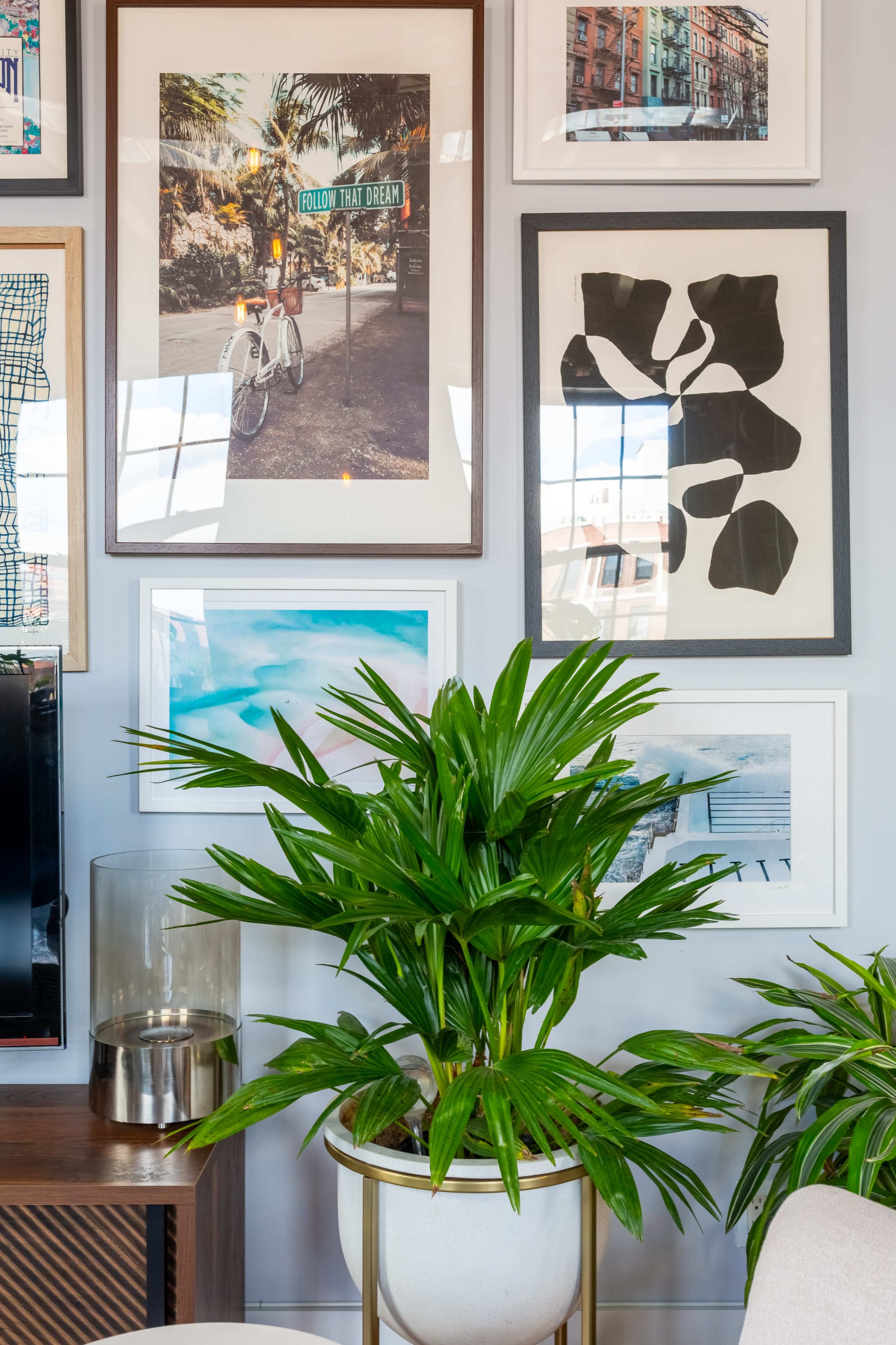 A wall decorated with various framed artworks, including photographs and graphic prints, alongside a potted plant.