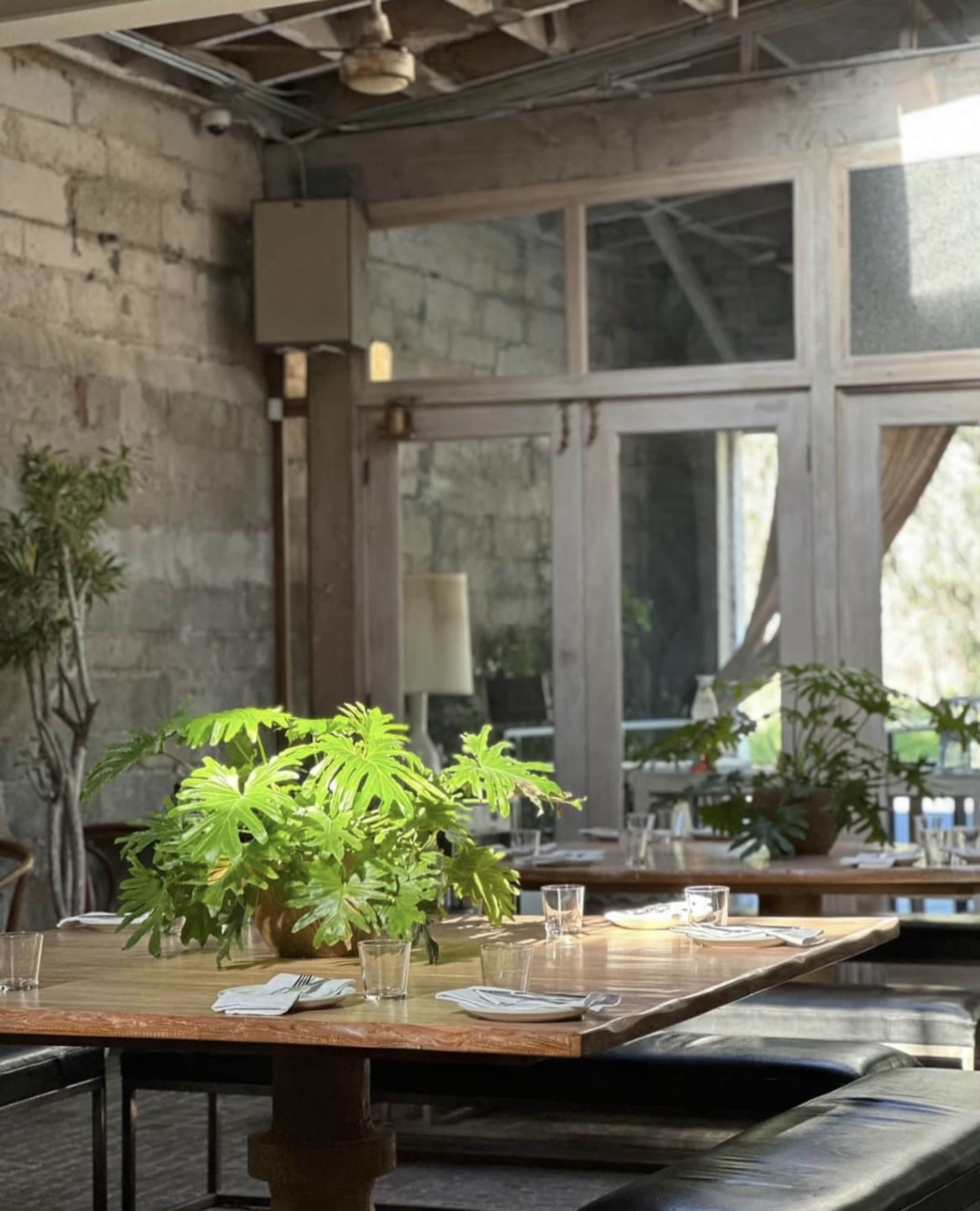 A rustic dining area with wooden tables, glassware, and potted plants, complemented by large windows and exposed brick walls.