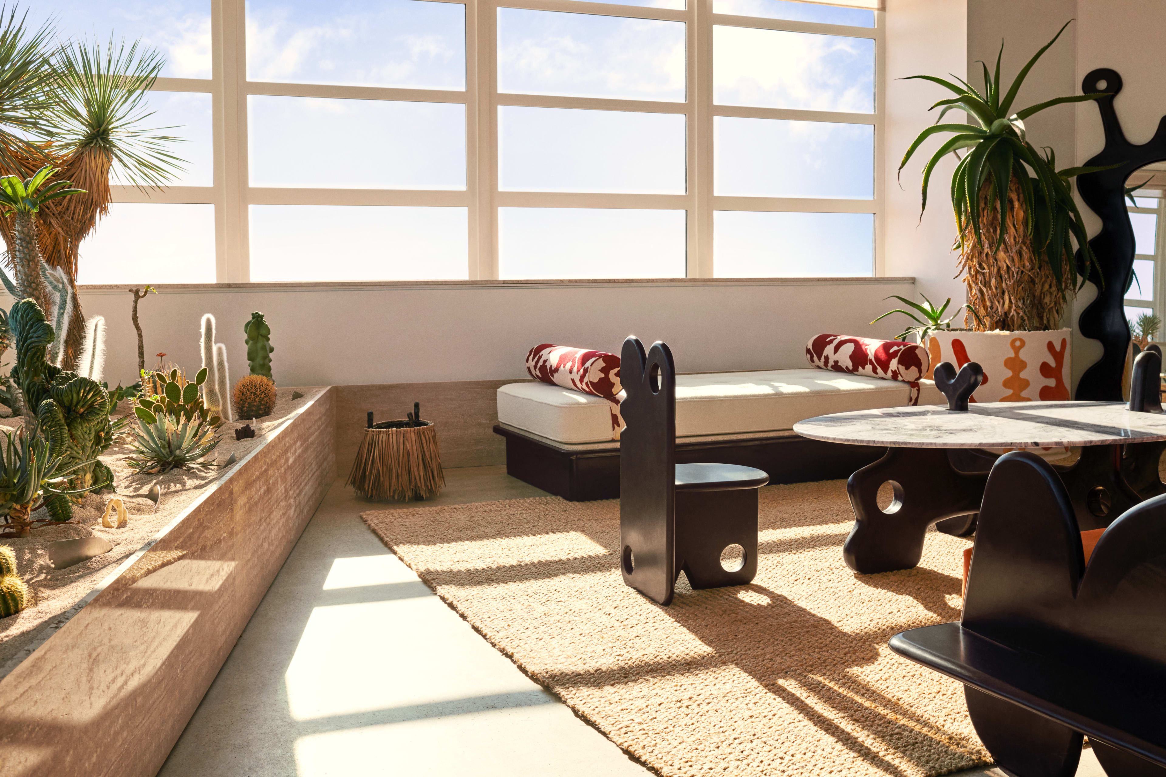 The image shows a modern interior space featuring a large window with natural light, a seating area with cushions, and various plants including cacti.