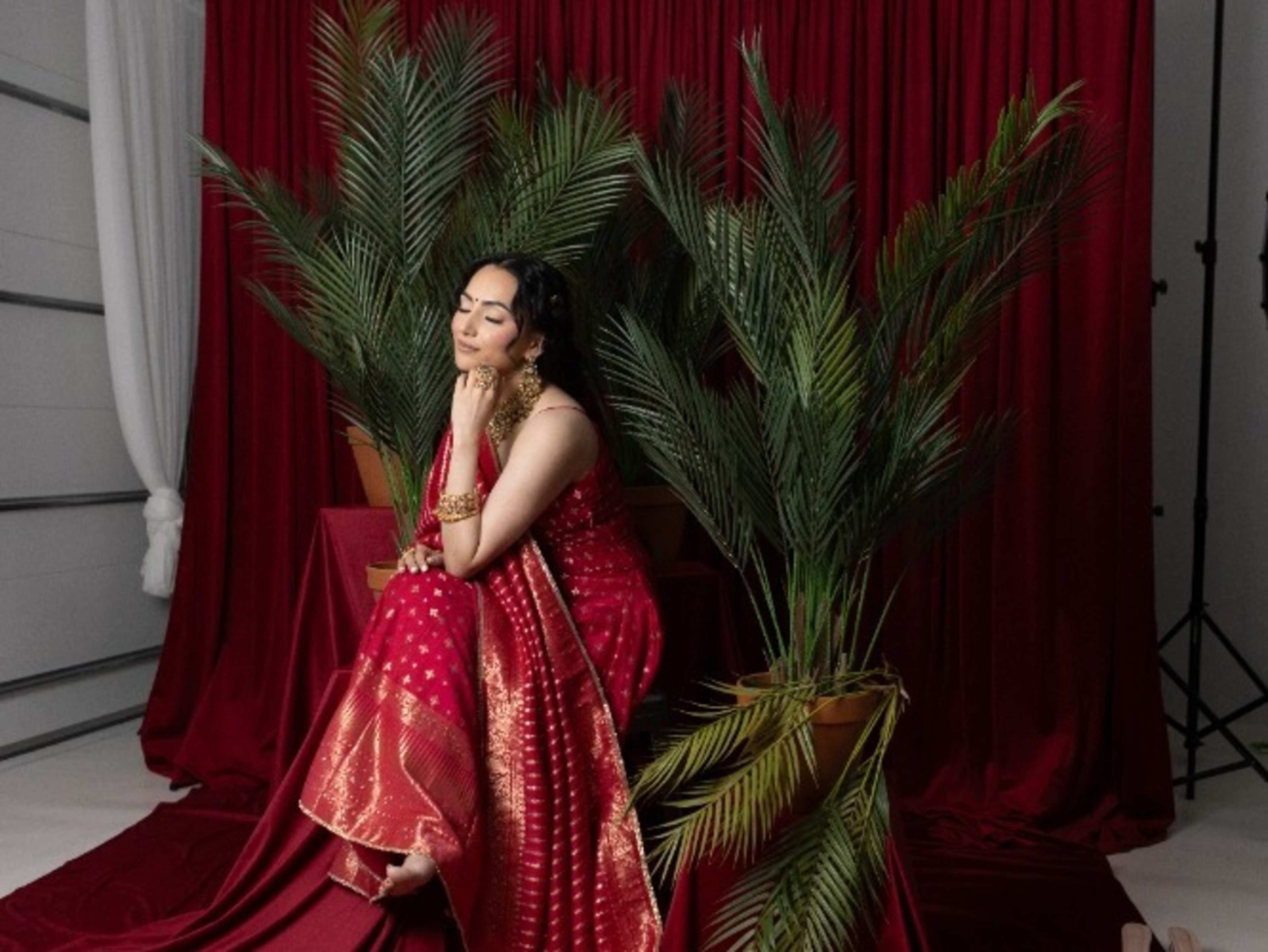 Red Velvet Backdrop