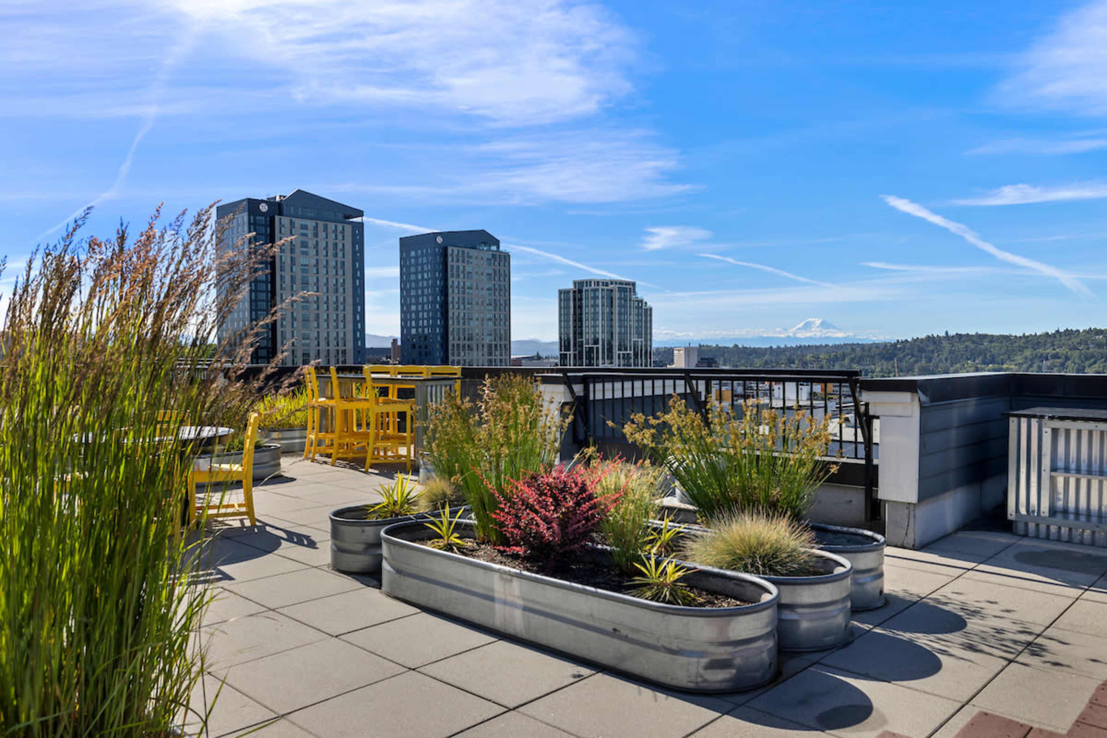 The image shows a rooftop garden with metal planters containing various plants, surrounded by tall buildings and a clear blue sky.