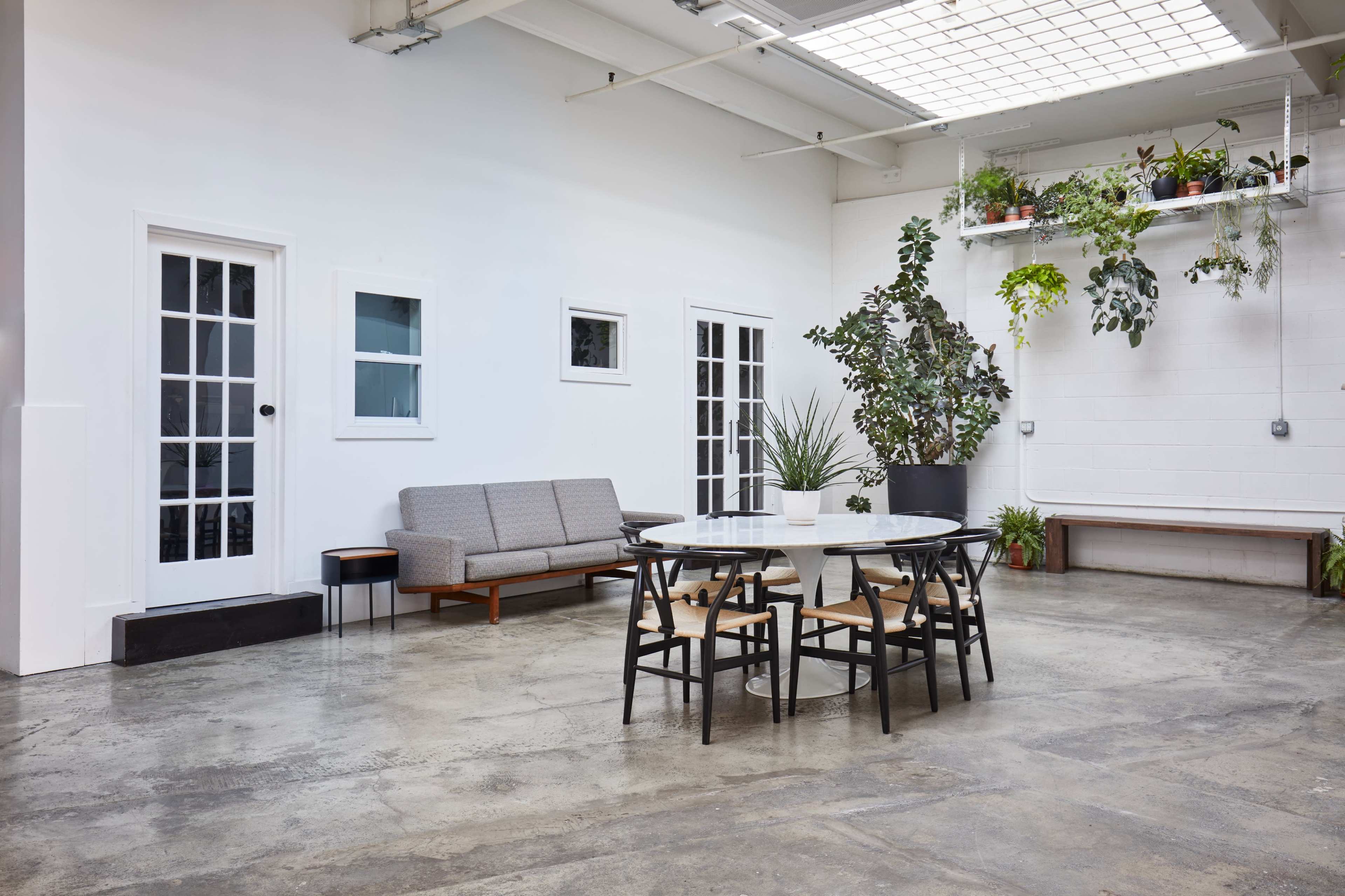 A spacious, minimalist indoor area featuring a round dining table surrounded by black chairs, a gray sofa against one wall, and plants displayed on a shelf.