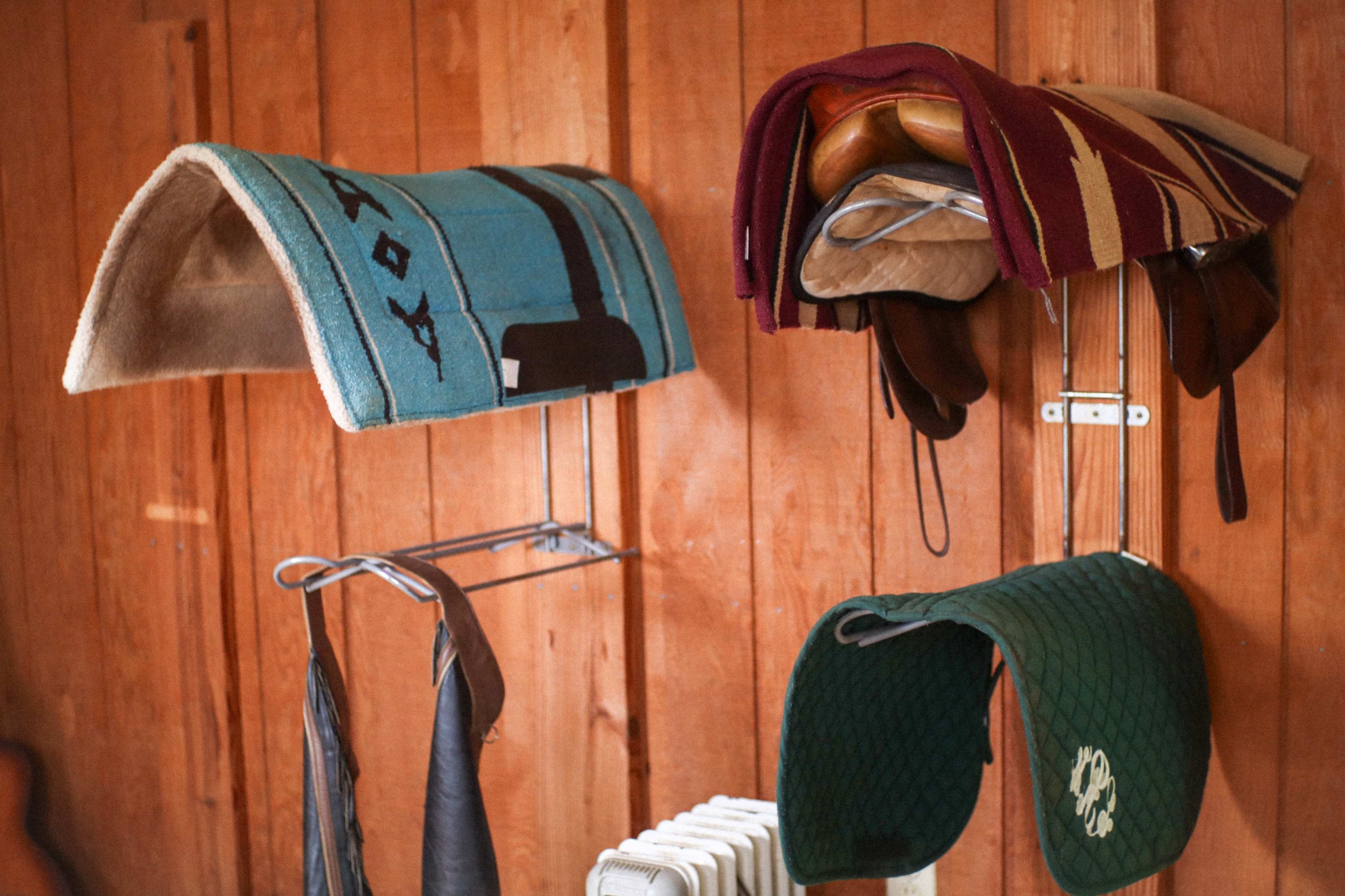 Cozy Country Close to Town Image in Madison, Madison, TN