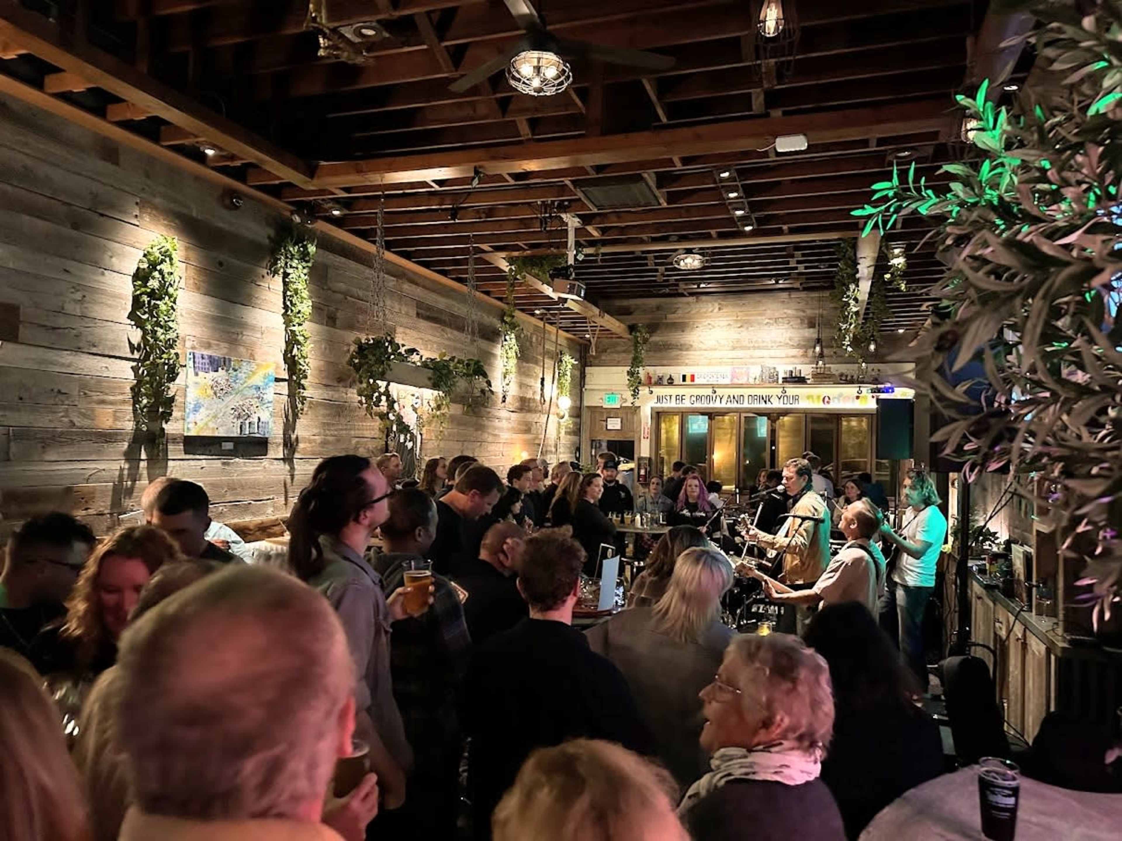 A crowd gathers around a live band performing in a rustic venue with wooden walls and greenery.
