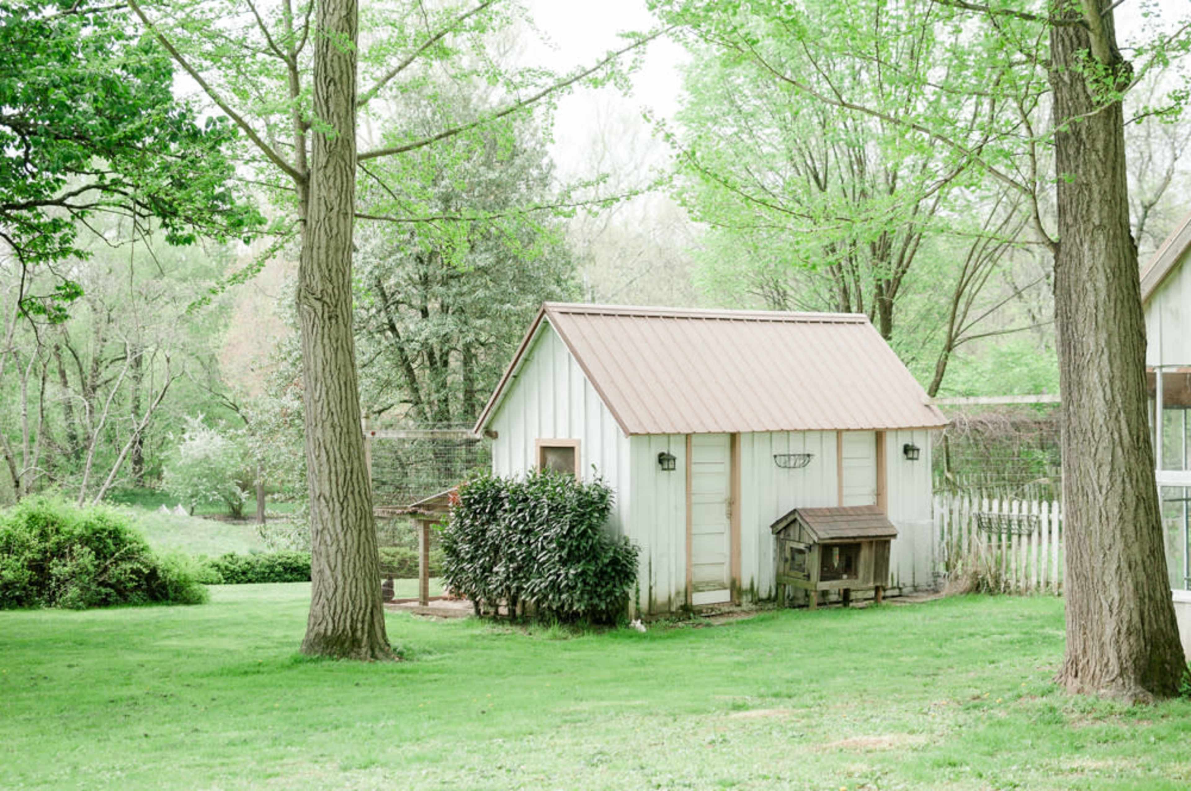 A small wooden shed with a metal roof stands in a grassy area, surrounded by trees and shrubs.