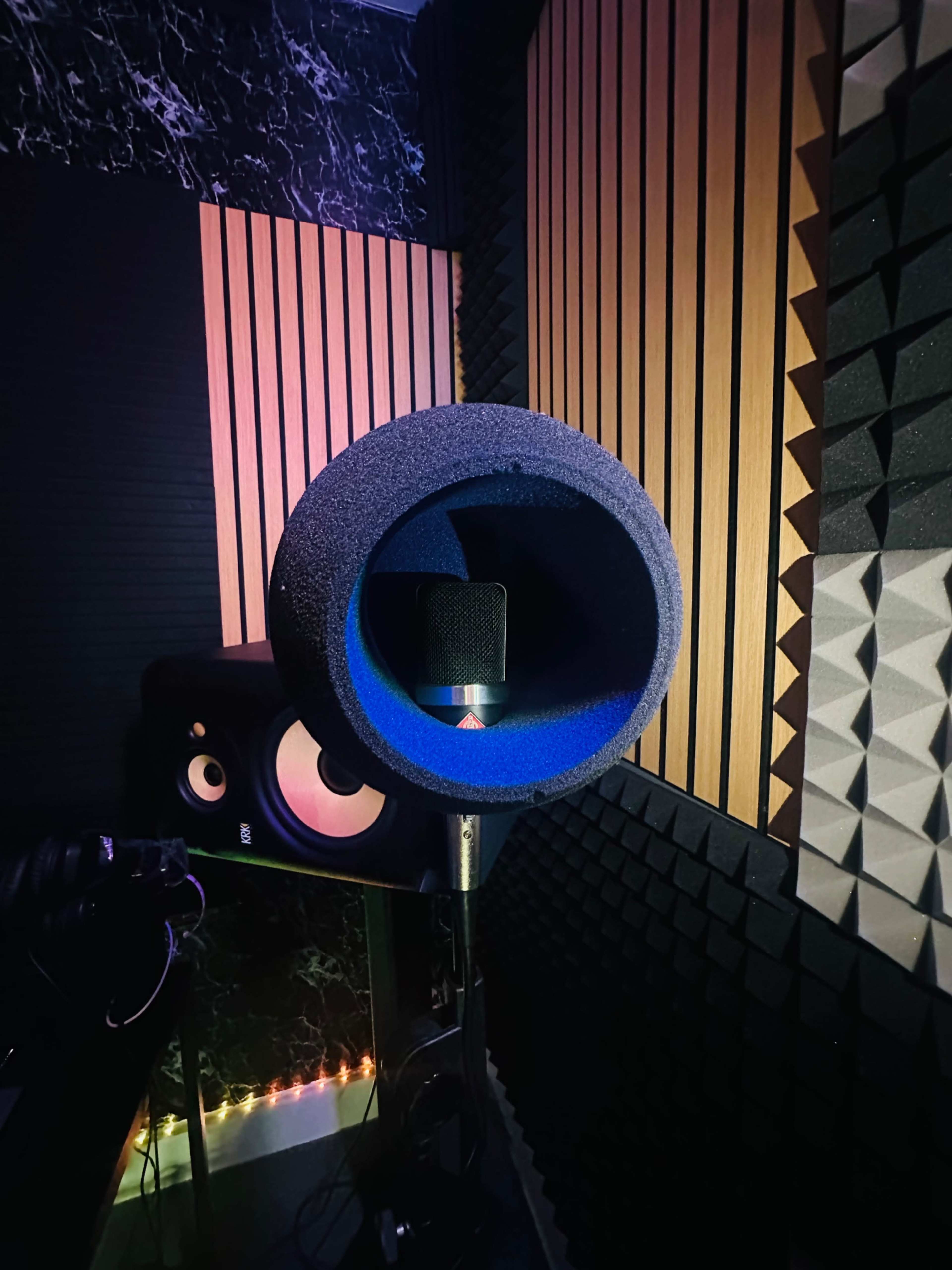 The image shows a microphone with a pop filter positioned in a soundproofed recording studio surrounded by acoustic panels and studio monitors.