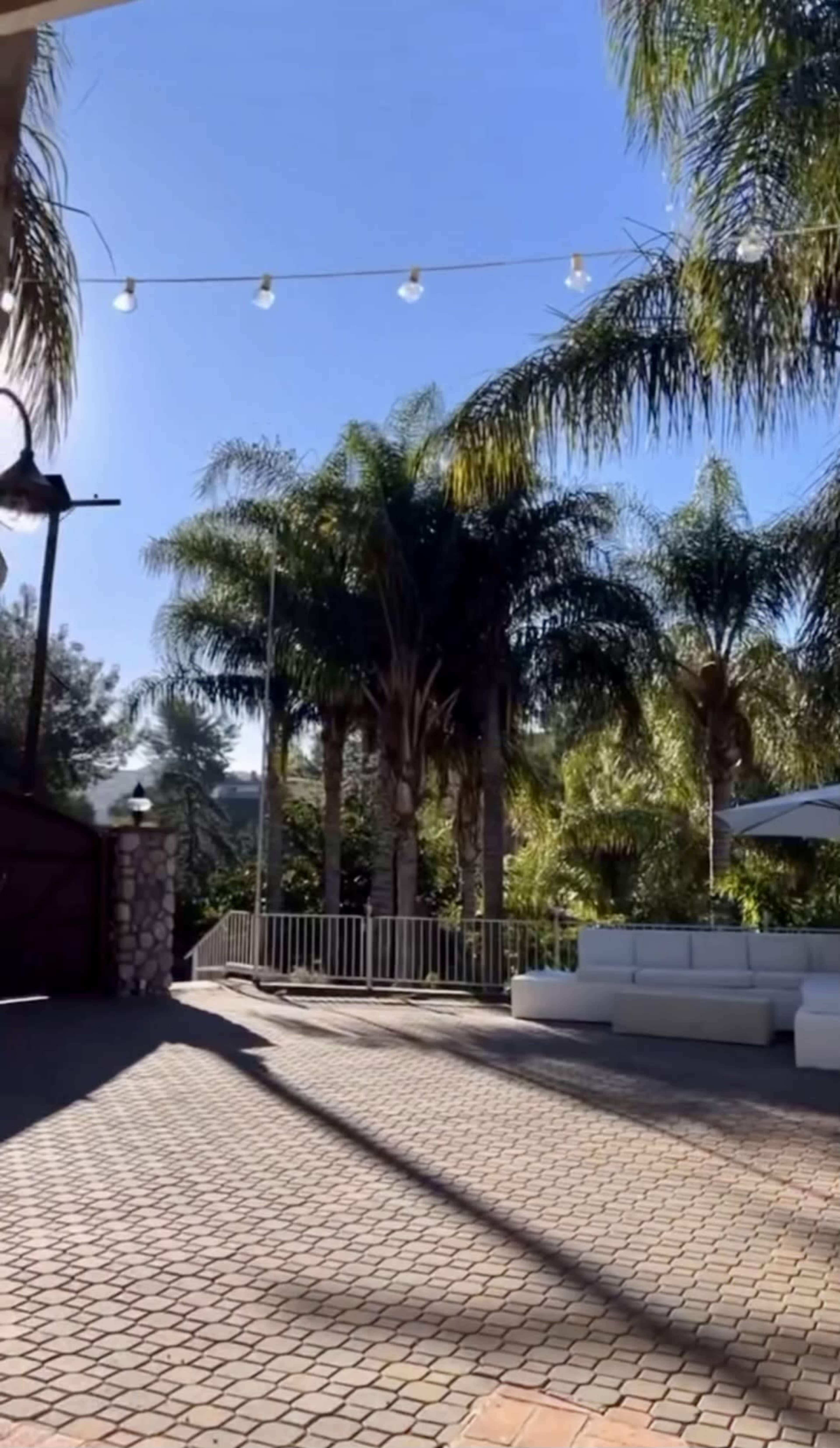 The image shows a landscaped outdoor area featuring palm trees, a seating arrangement, and string lights against a clear blue sky.