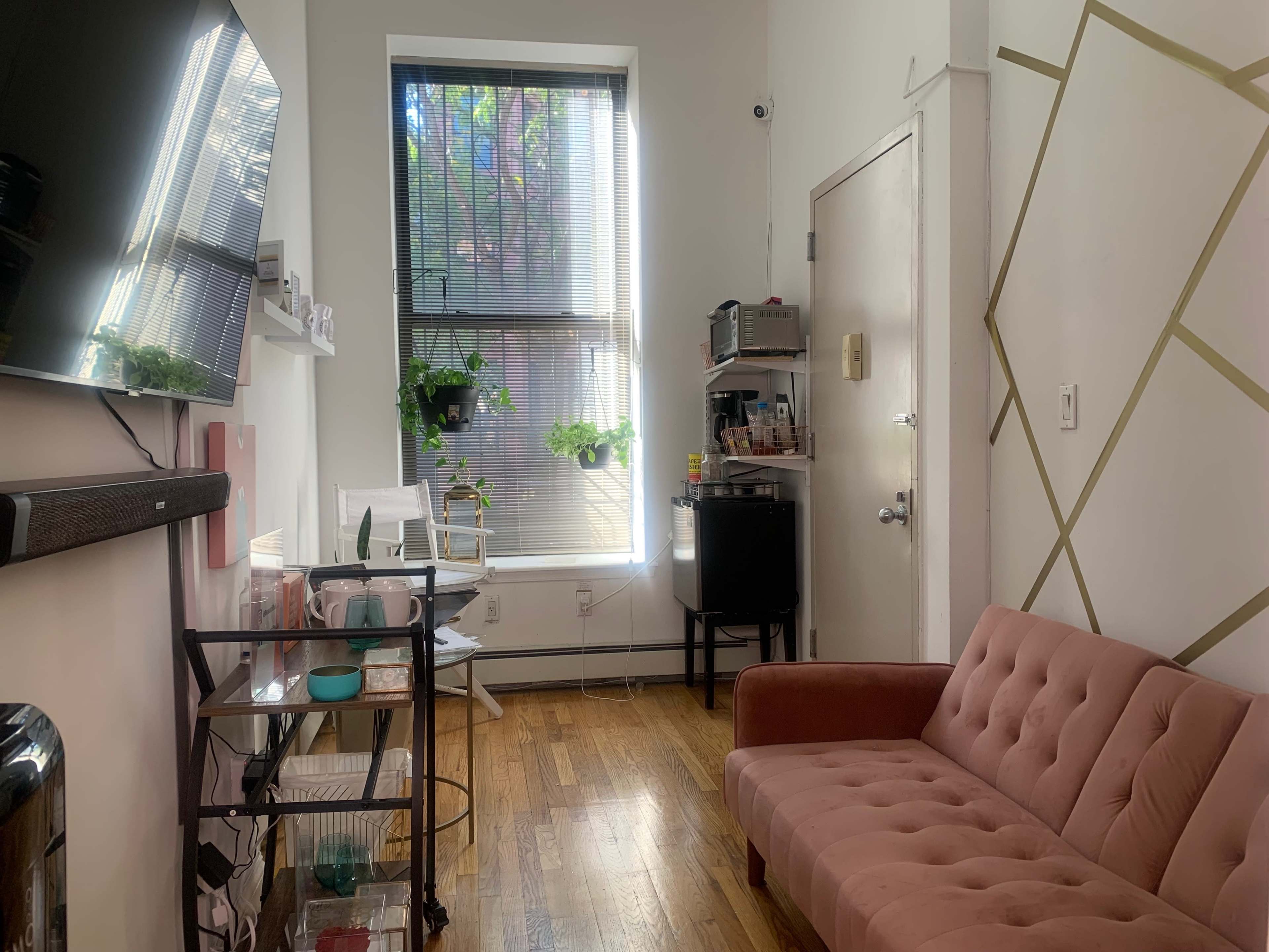 A small room with a pink couch, a wall-mounted TV, a window with plants, and a shelving unit with various items.