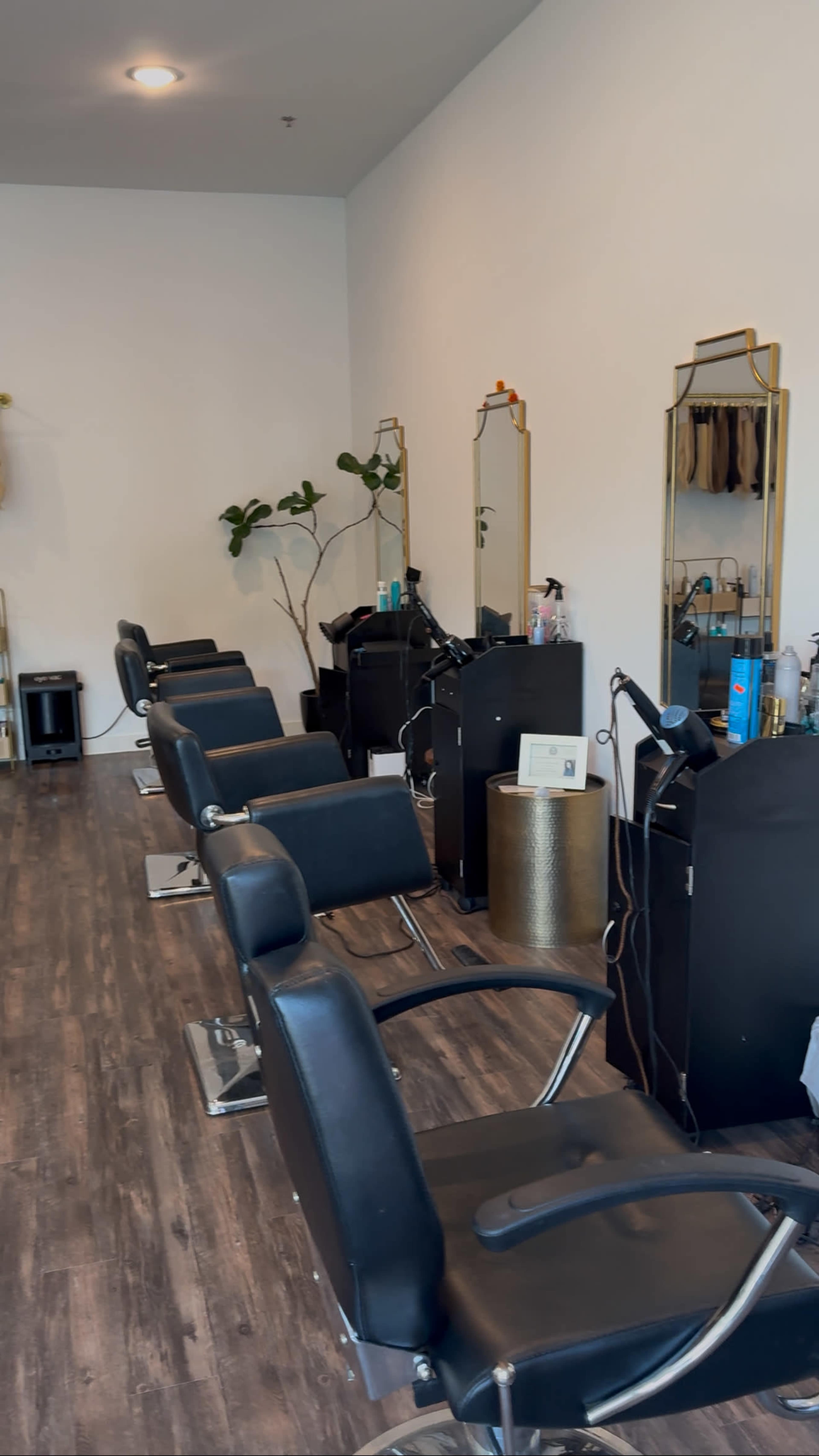 The image shows a modern hair salon interior featuring several black salon chairs and mirrors along the walls, with plants and various hair products displayed.