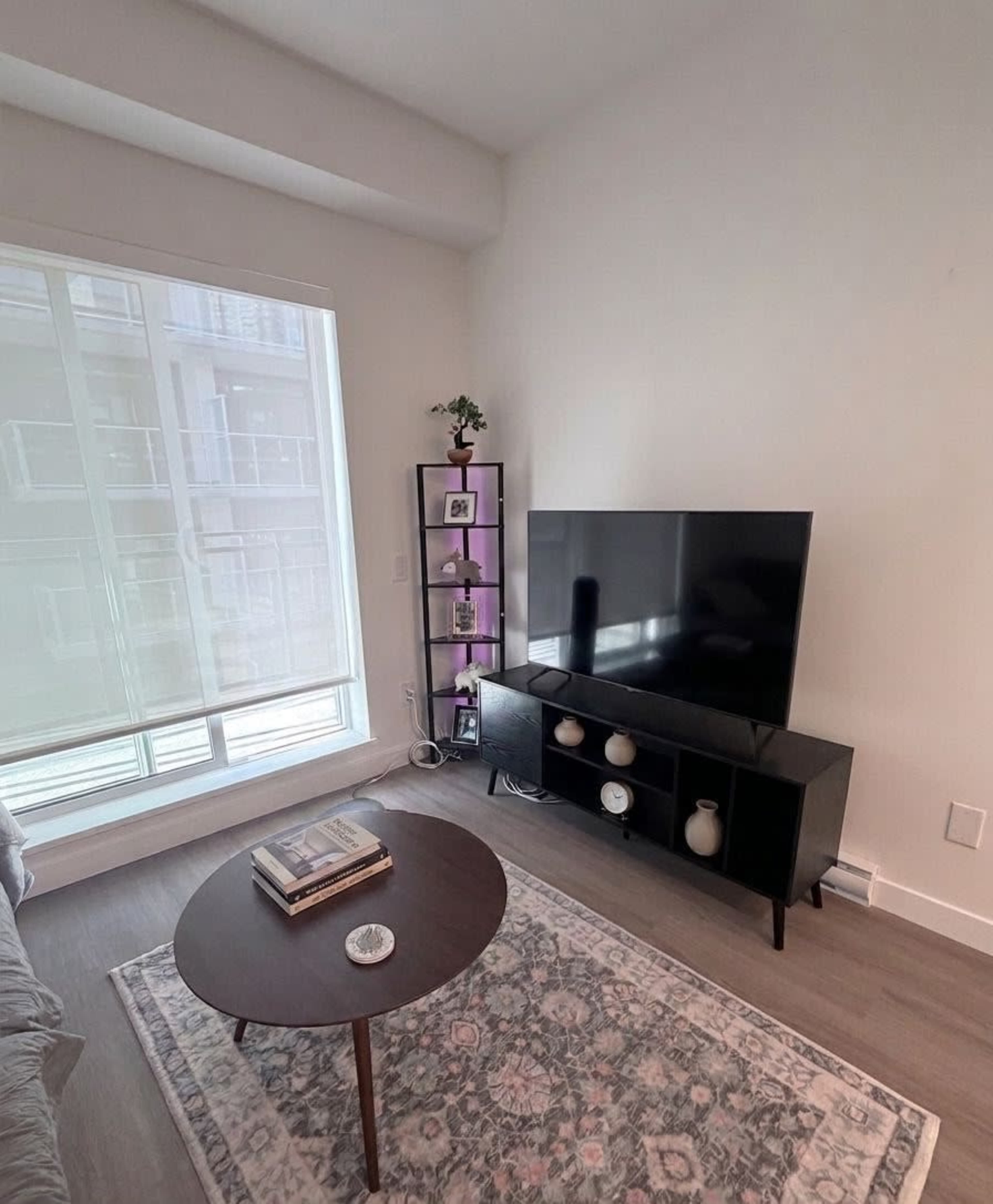 The living room features a large television on a black stand, a round coffee table, and a tall shelf with decorative items beside a window with sheer curtains.