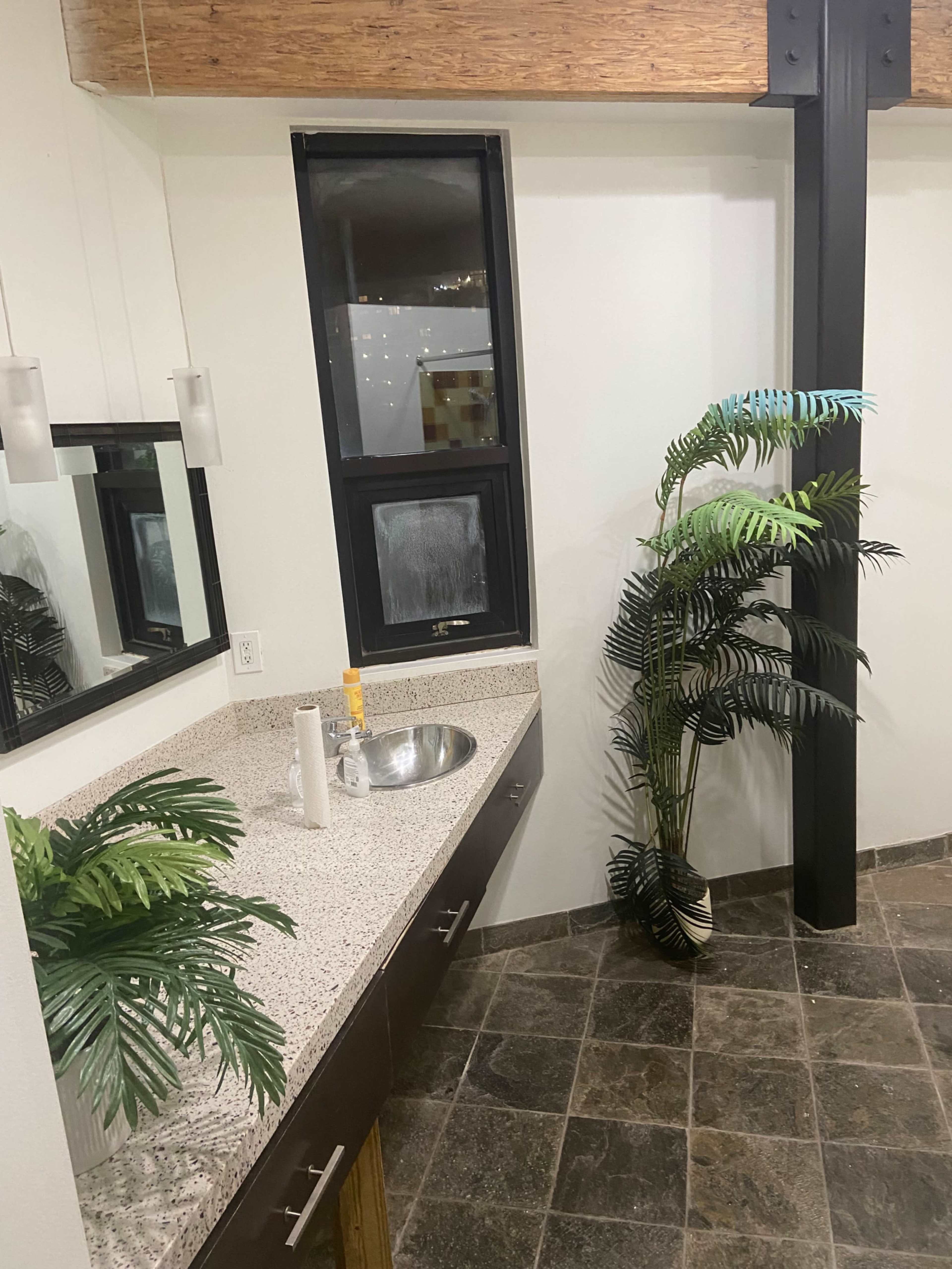 A modern bathroom with a sink, a large mirror, and a potted plant next to a window.