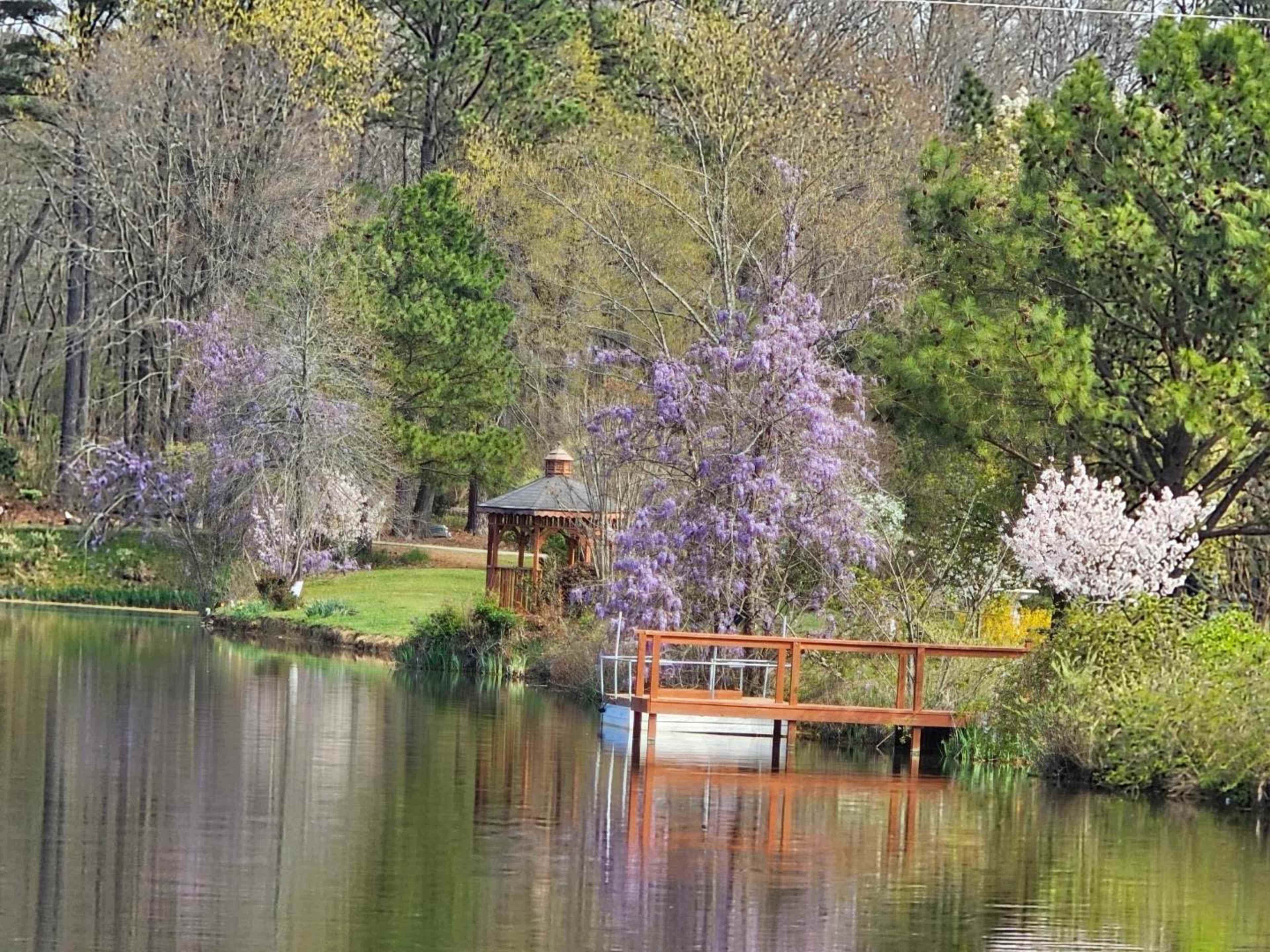 A tranquil pond surrounded by trees and flowering plants, with a gazebo and a wooden dock extending into the water.