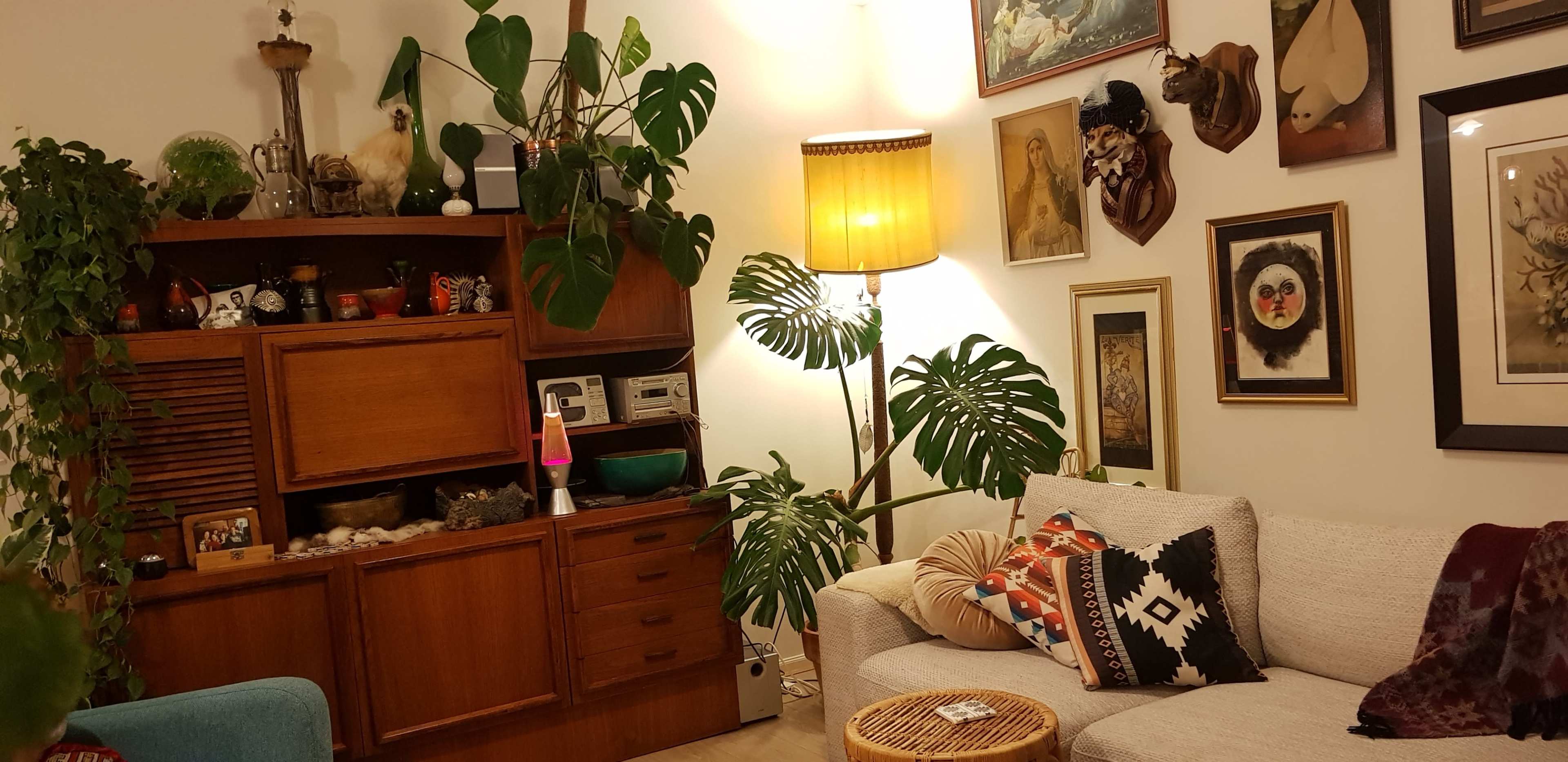 A cozy living room filled with plants, wooden furniture, and framed artwork on the walls, featuring a beige sofa with decorative pillows.