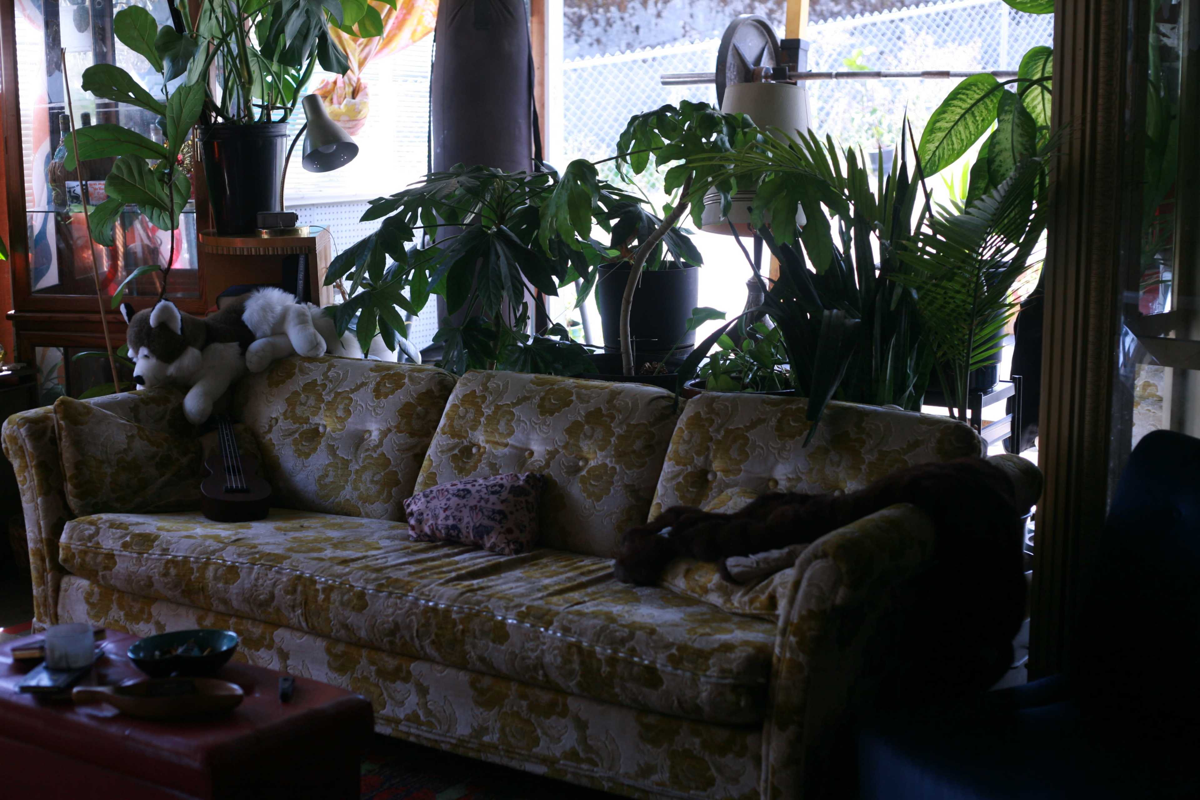 A vintage, floral-patterned couch is surrounded by various potted plants in a well-lit room.