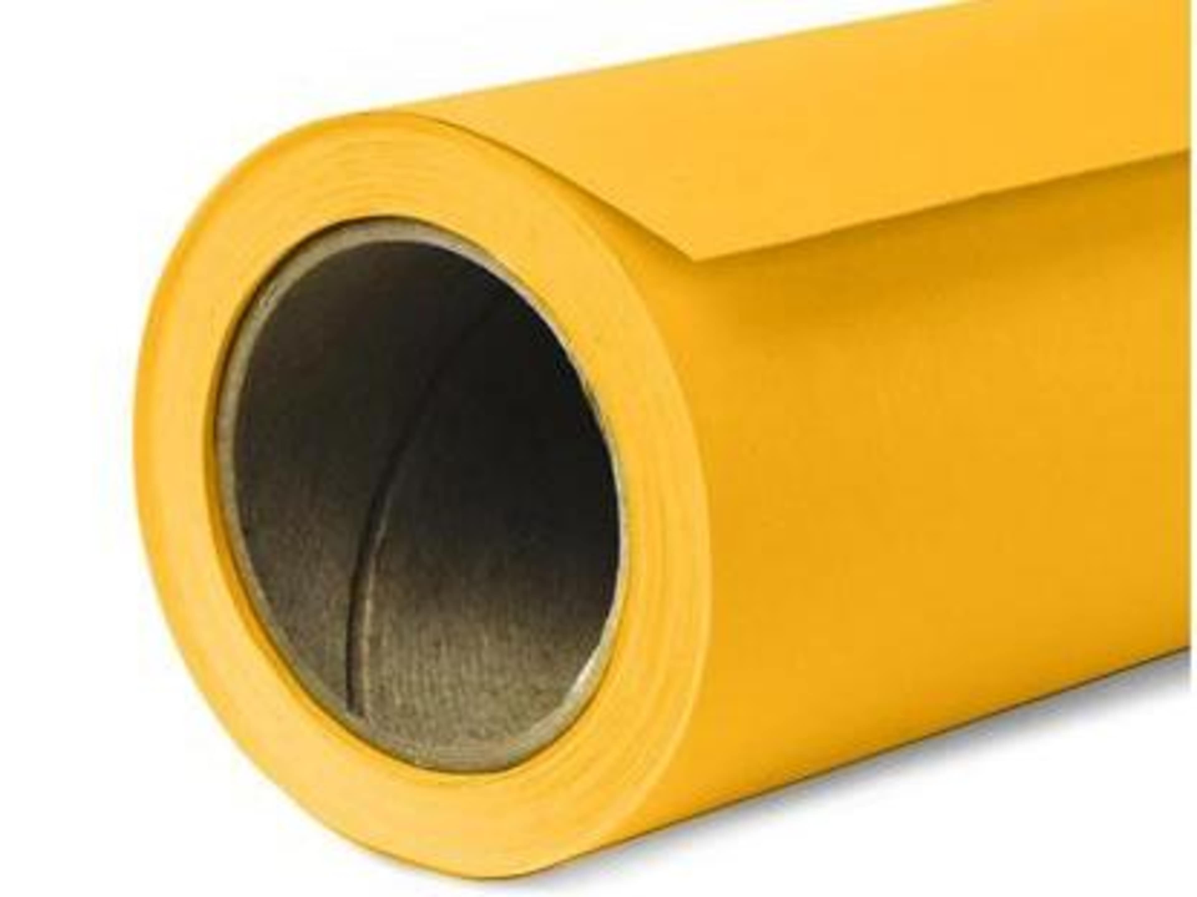 Seamless Backdrop (1st Backdrop is Free)