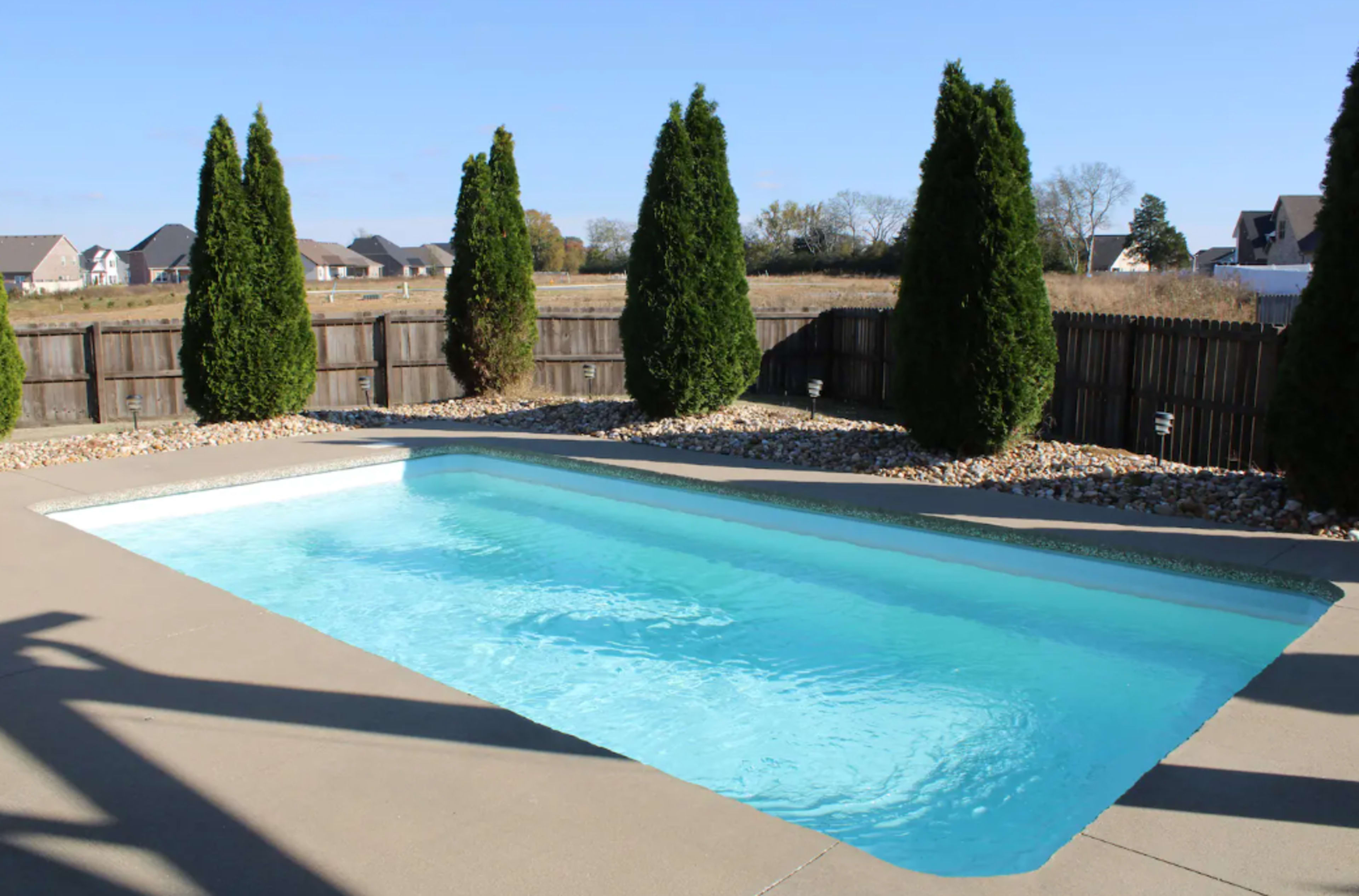 A rectangular swimming pool surrounded by a concrete deck and bordered by tall conifer trees.