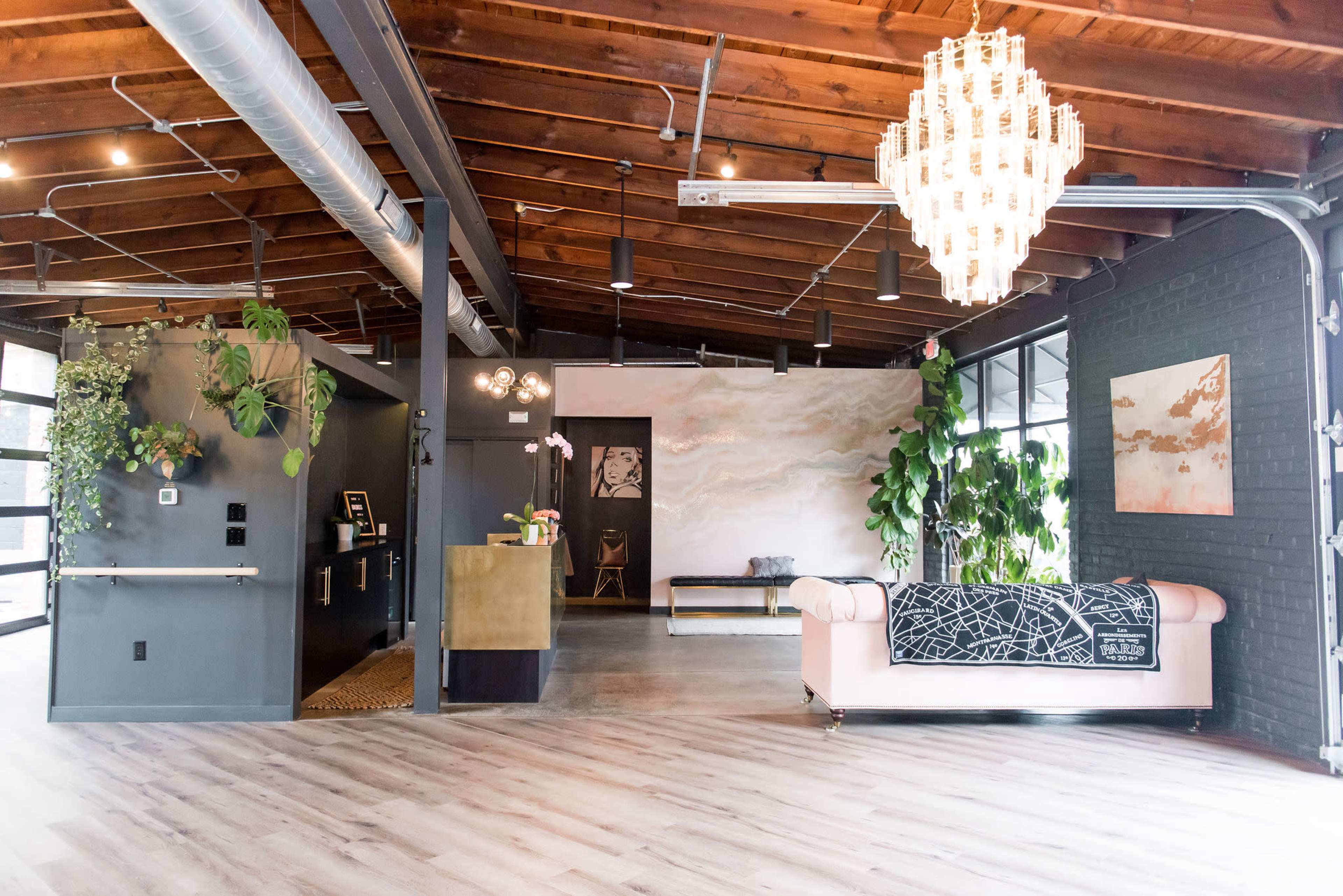 Natural Light Filled Glamorous Studio in Scott's Addition Image in Scott's Addition Historic District, RICHMOND, VA