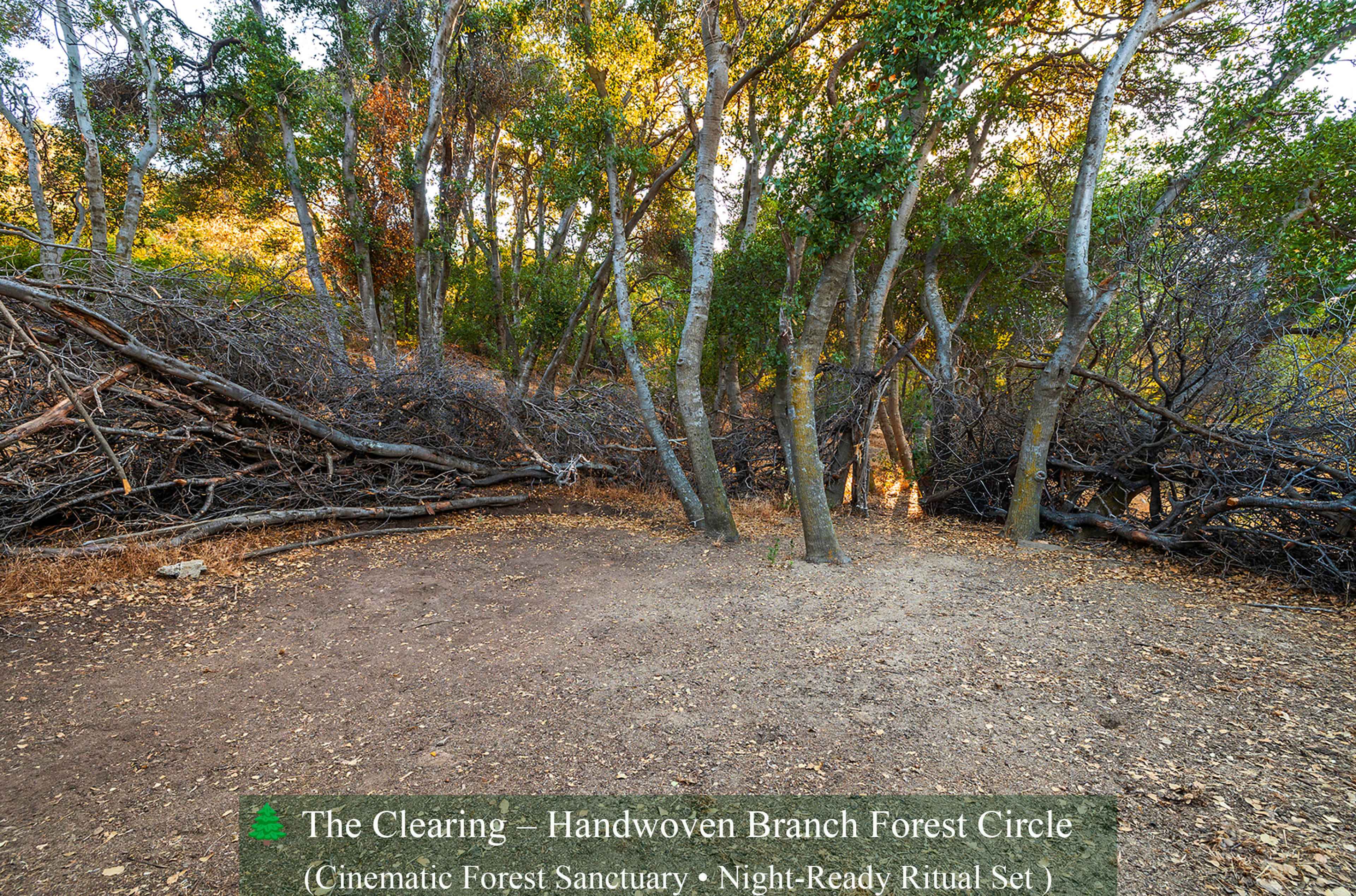 The Clearing – Ephemeral Forest Circle | Natural Set Image in Leona Valley, Leona Valley, CA