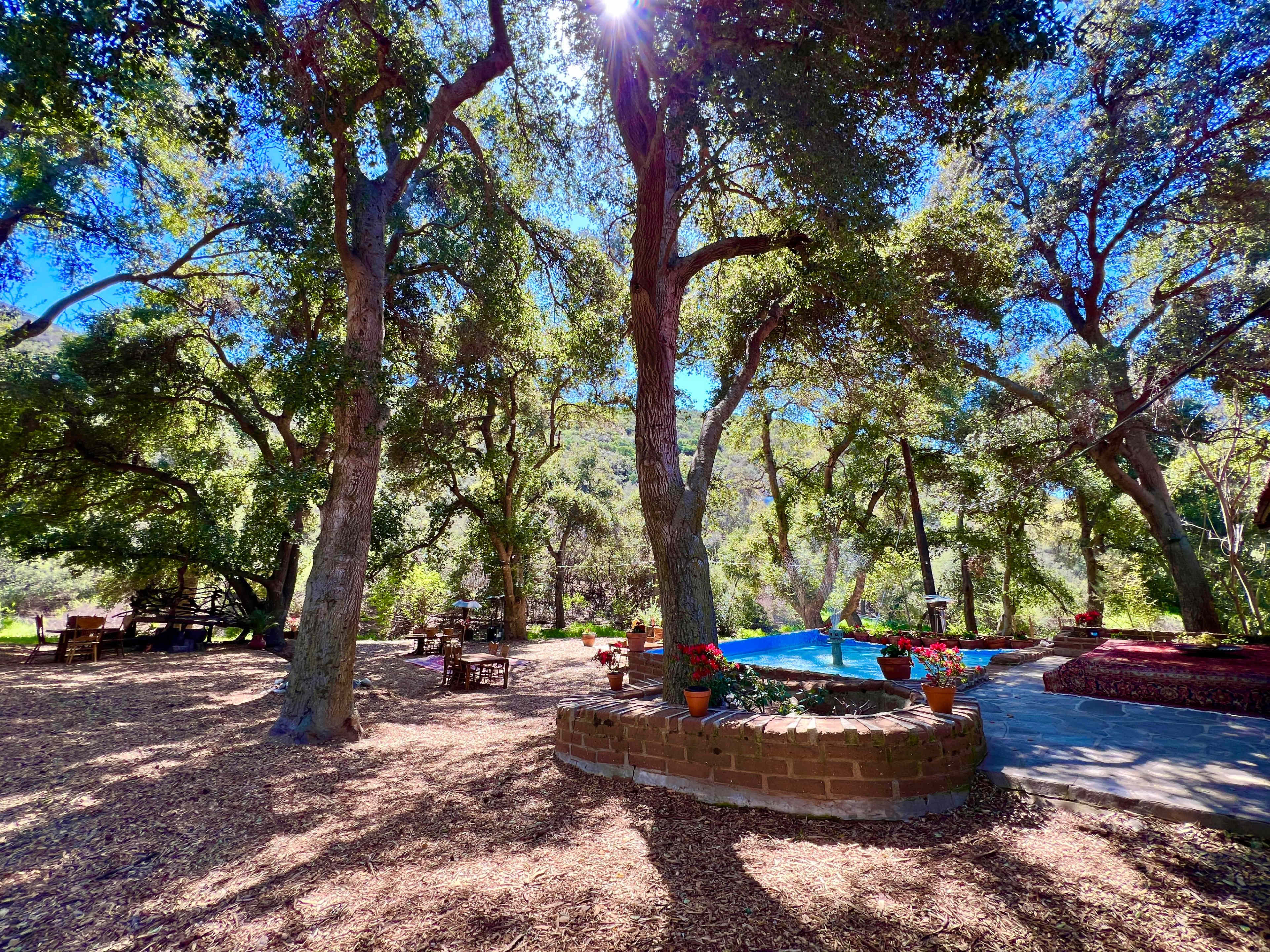 The scene shows a wooded area with large trees, a paved space featuring a blue pool, and seating arrangements made of wood and stone.