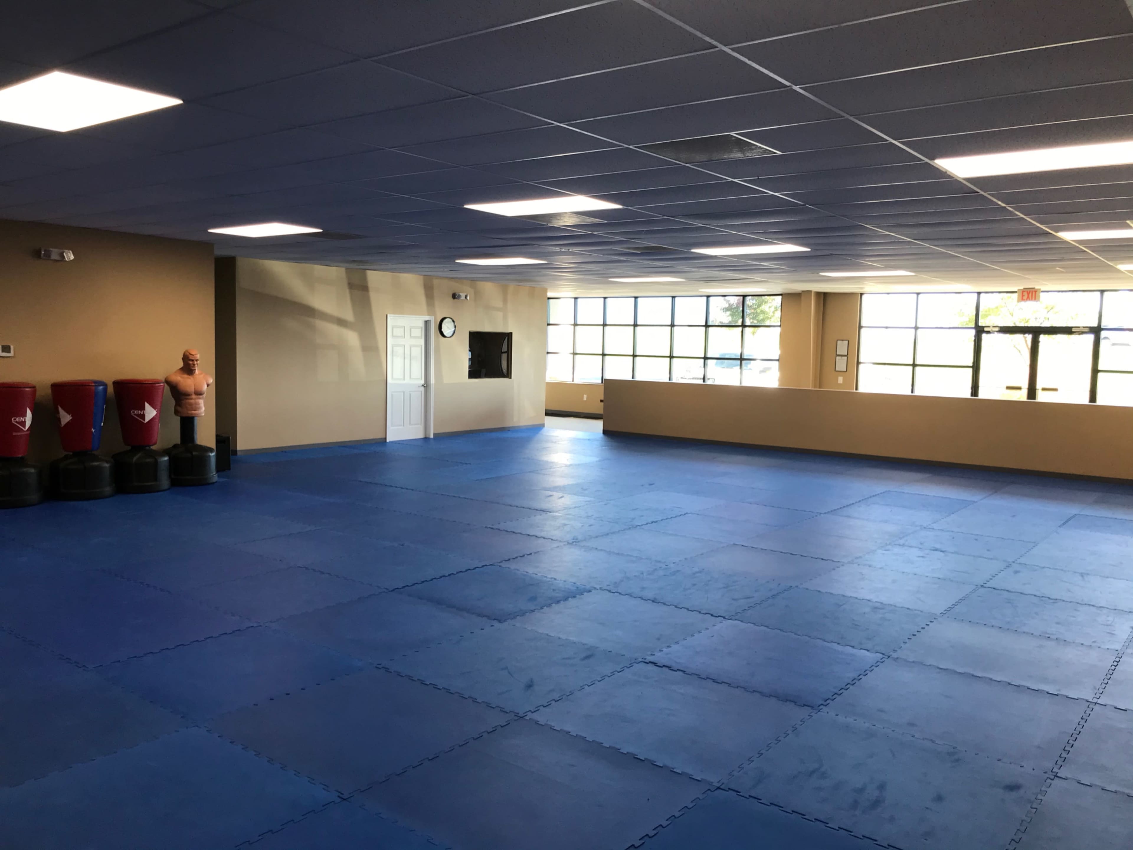 The image shows a spacious martial arts training room with blue mats, a few training dummies, and large windows that provide natural light.