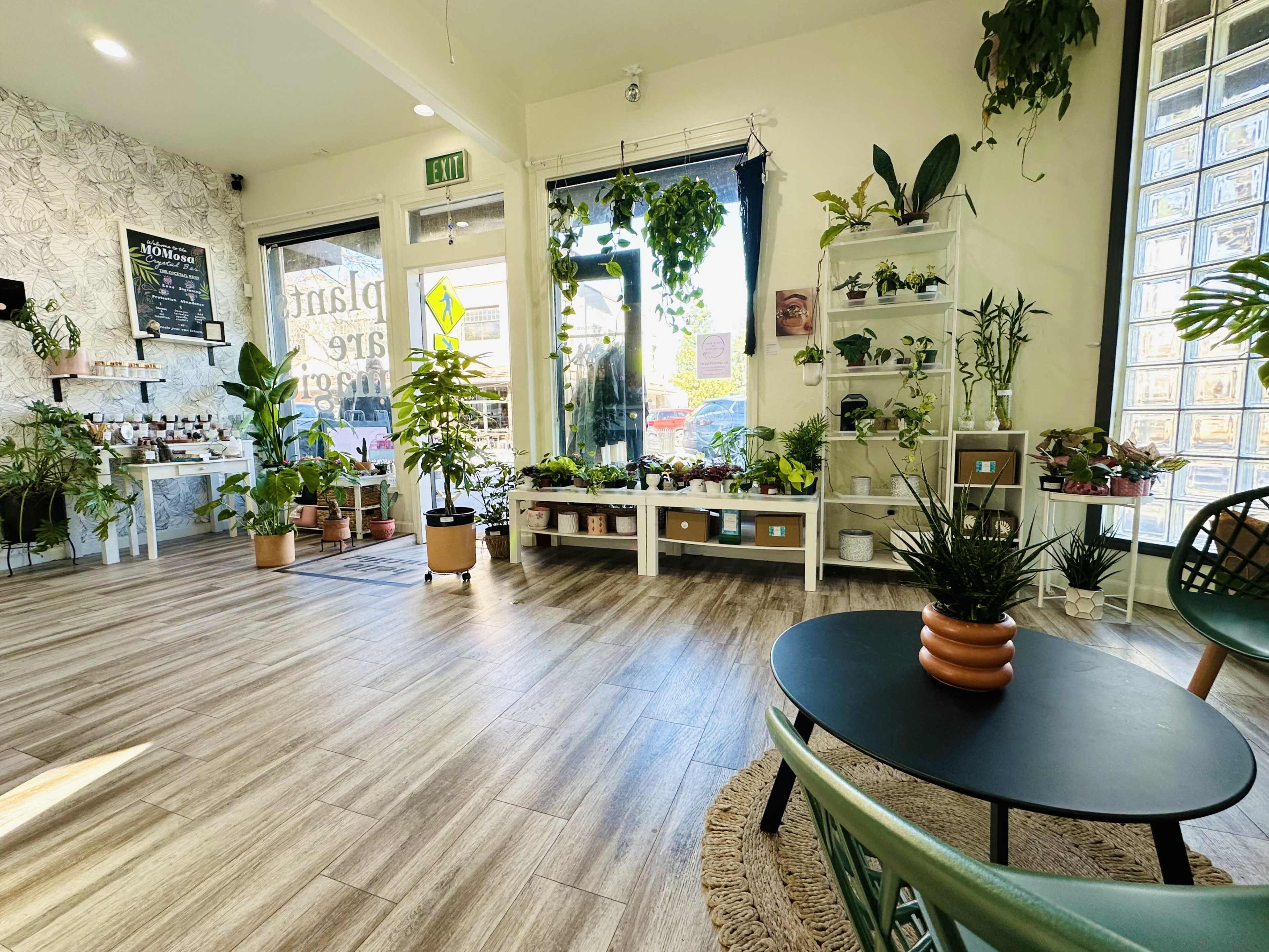 Vibrant Plant Lounge Perfect for Intimate Events & Workshops Image in Downtown, Campbell, CA