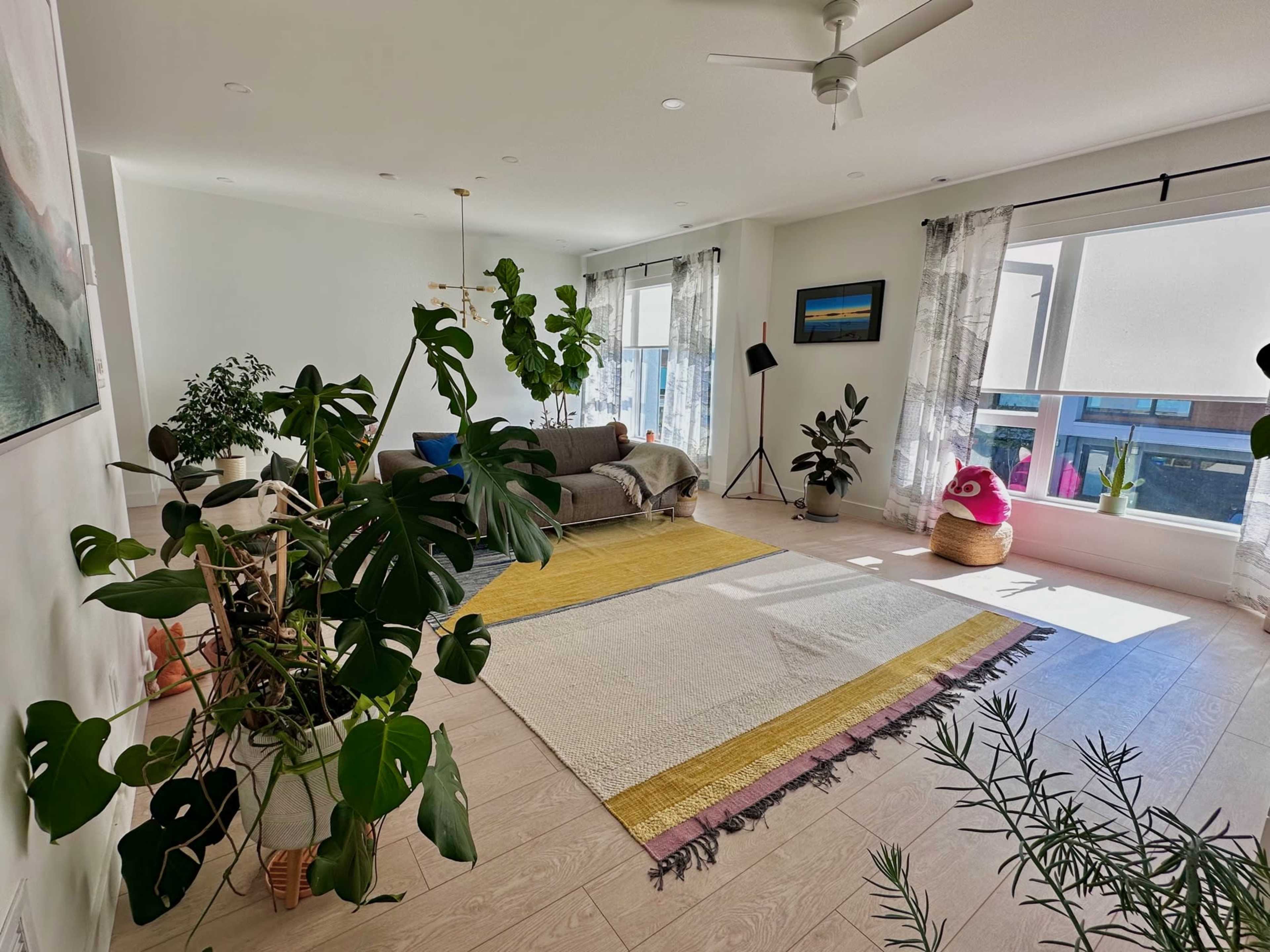 A bright living room with a sectional sofa, large windows, plants, and a decorative rug.