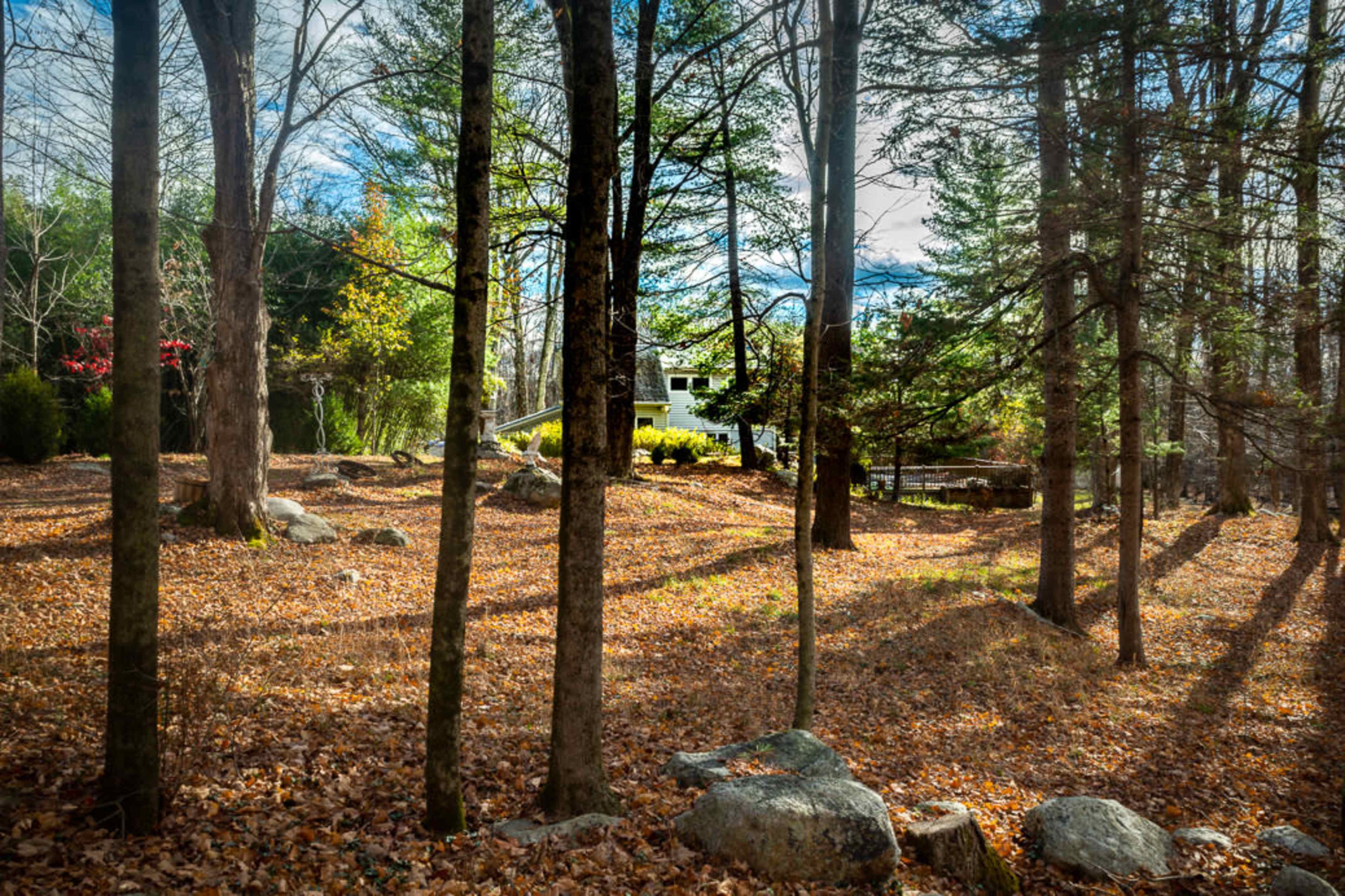 A wooded area with fallen leaves, boulders, and a house partially visible through the trees.