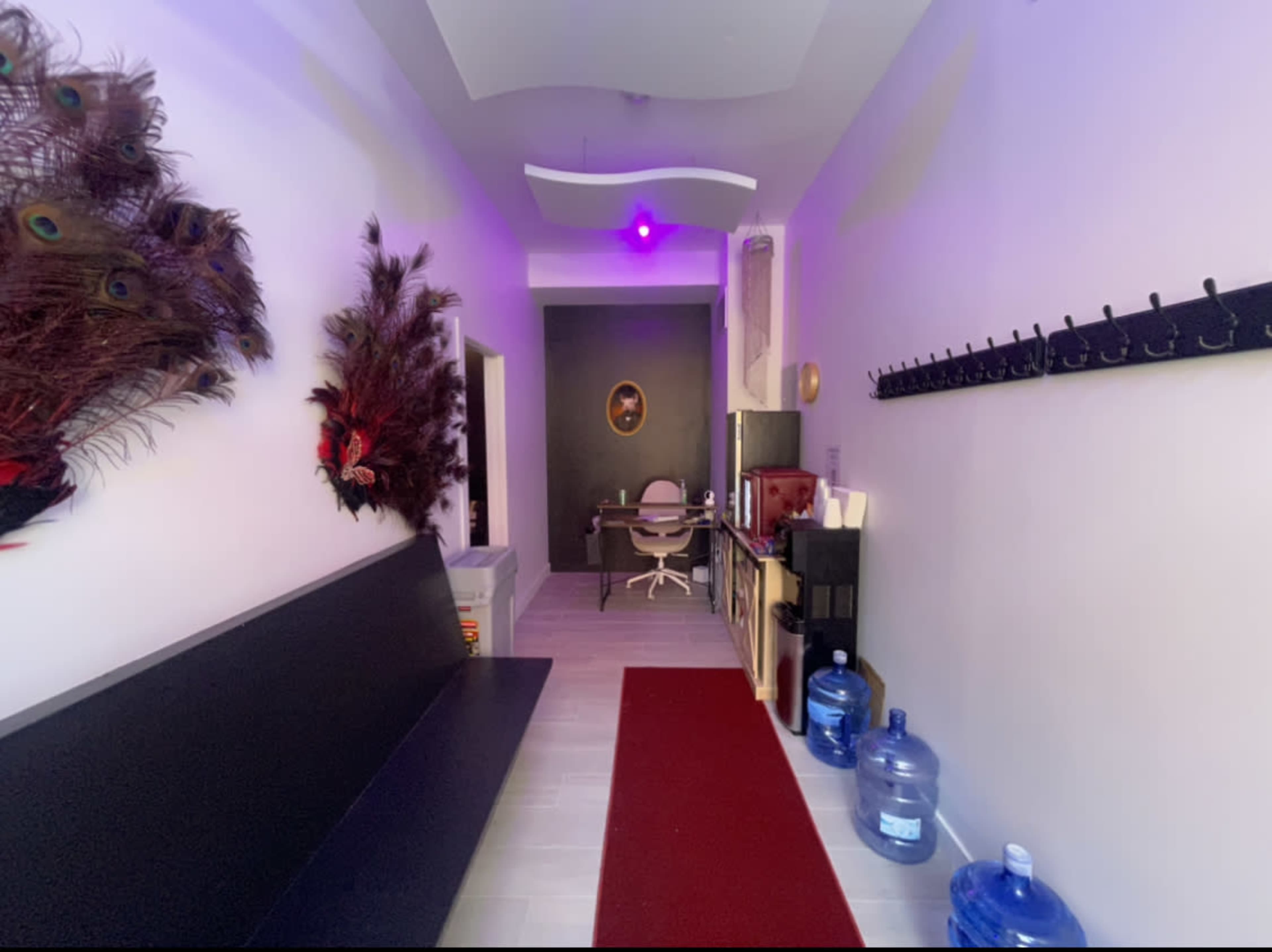 A narrow hallway with a peacock feather decoration on one side, a red carpet, and water dispensers near the wall.