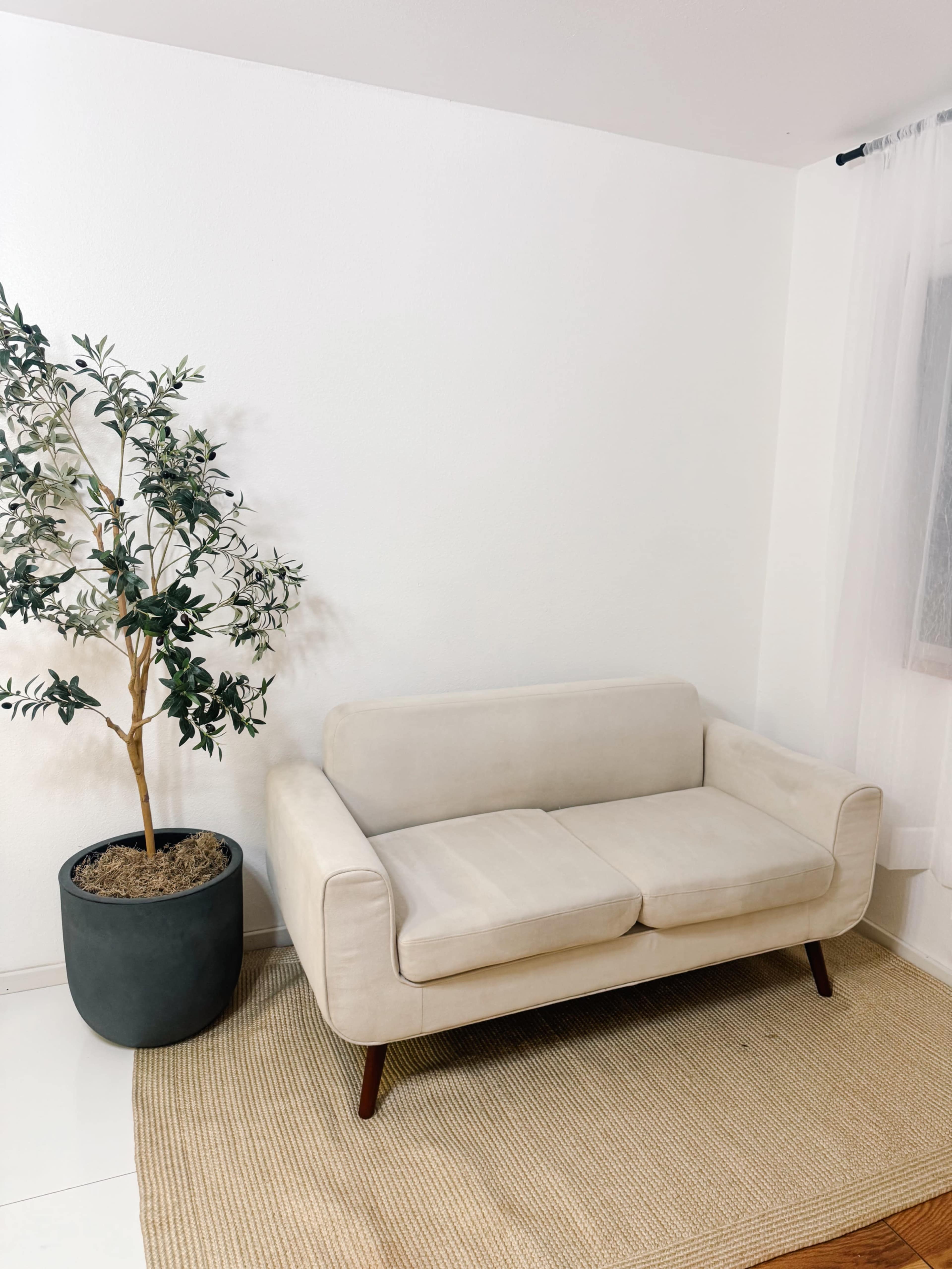 A light-colored sofa is positioned next to a potted plant on a woven rug in a minimalist room with white walls.