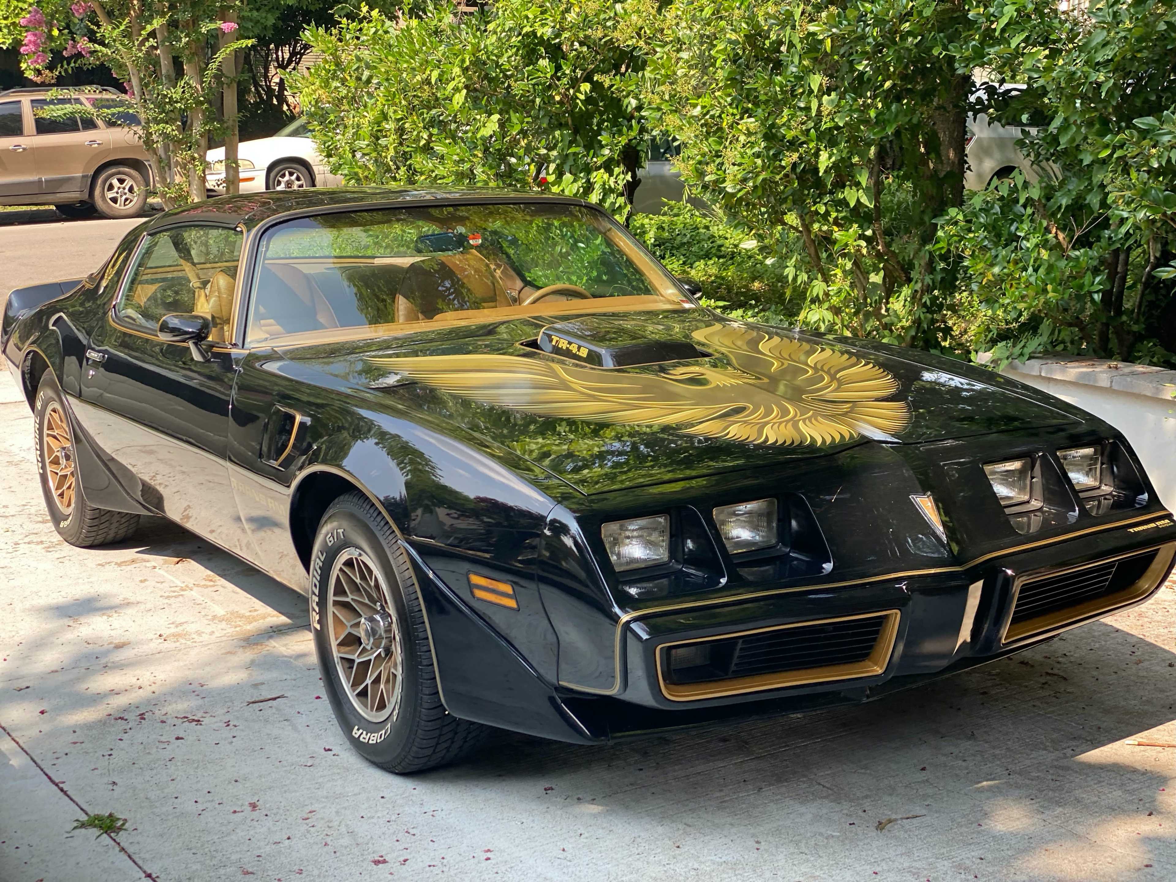 A black Pontiac Trans Am with a golden eagle design on the hood is parked on a driveway surrounded by greenery.