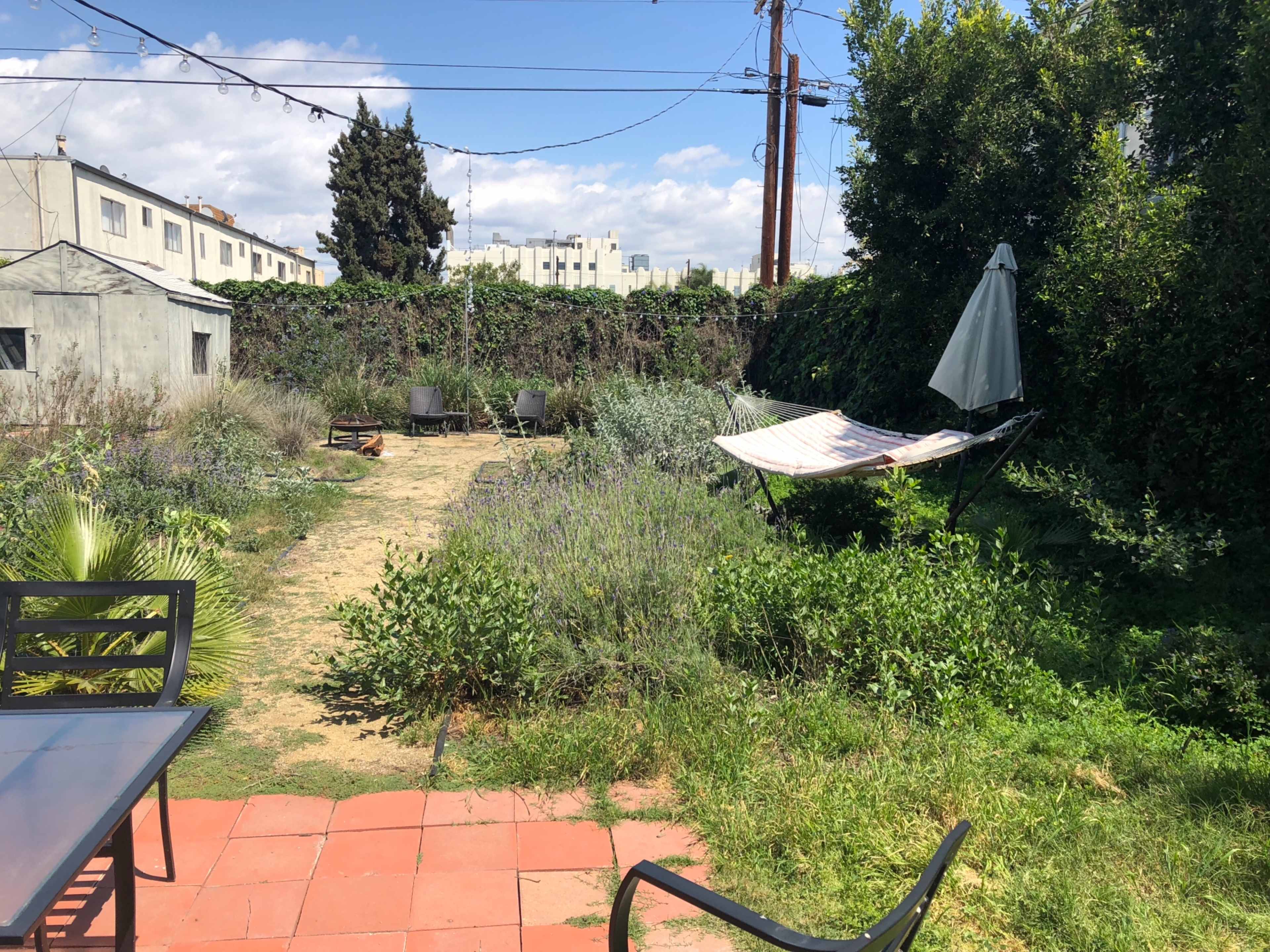 A backyard with a hammock, lounge chairs, and overgrown greenery under a partly cloudy sky.