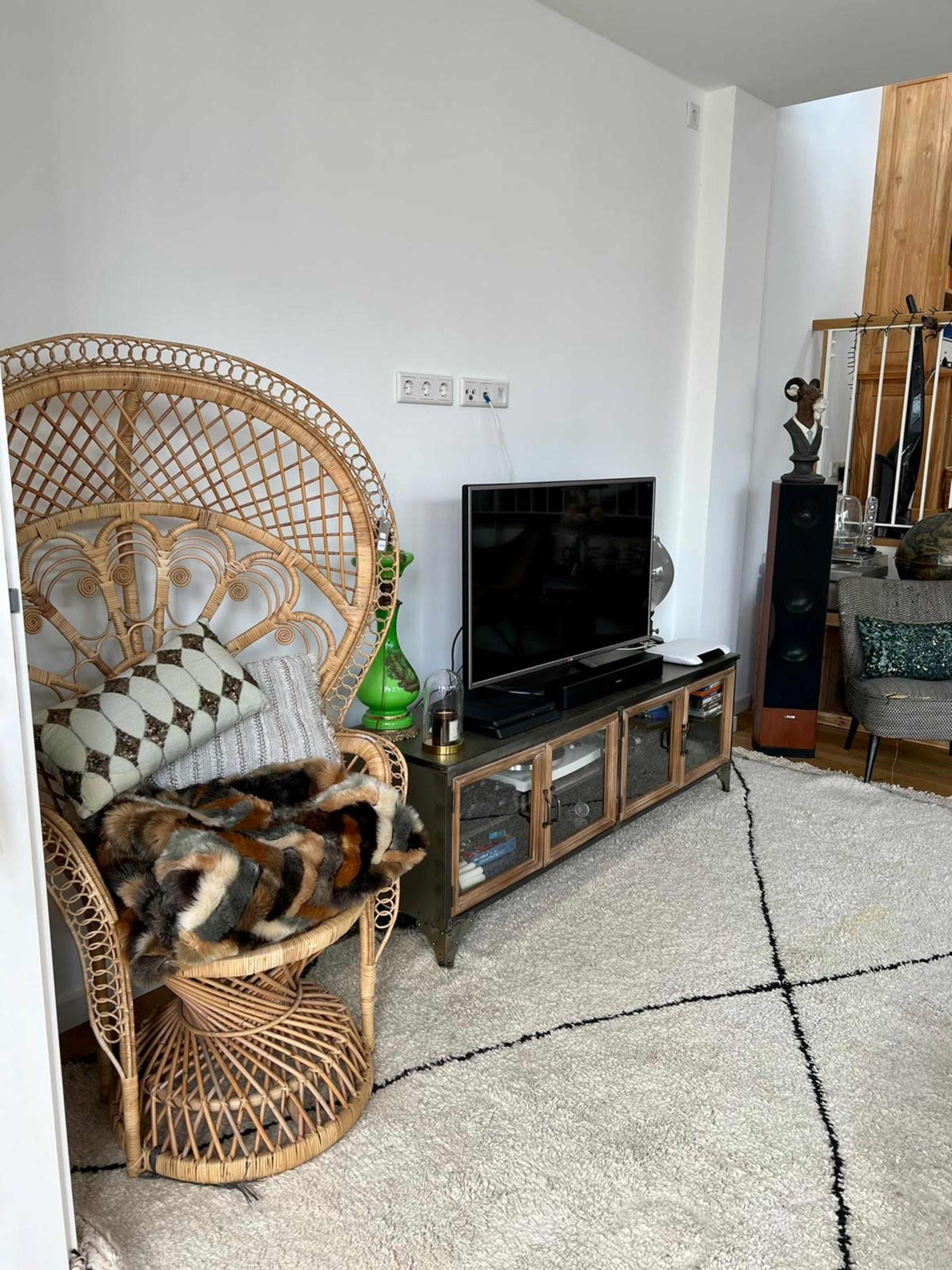 A living room corner with a wicker chair, a television on a cabinet, and a decorative rug on the floor.