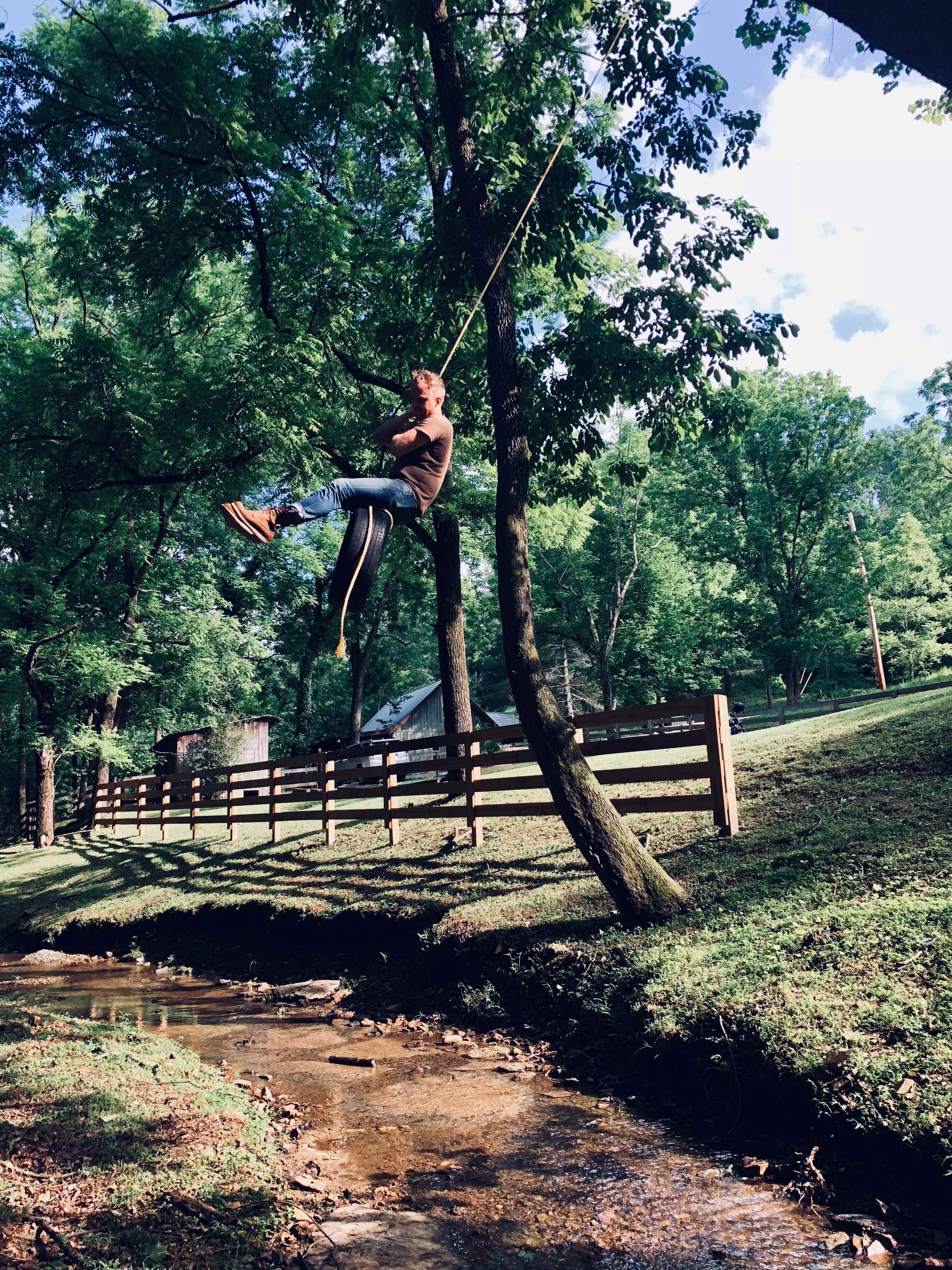 A person swings from a rope tied to a tree near a small creek surrounded by greenery.