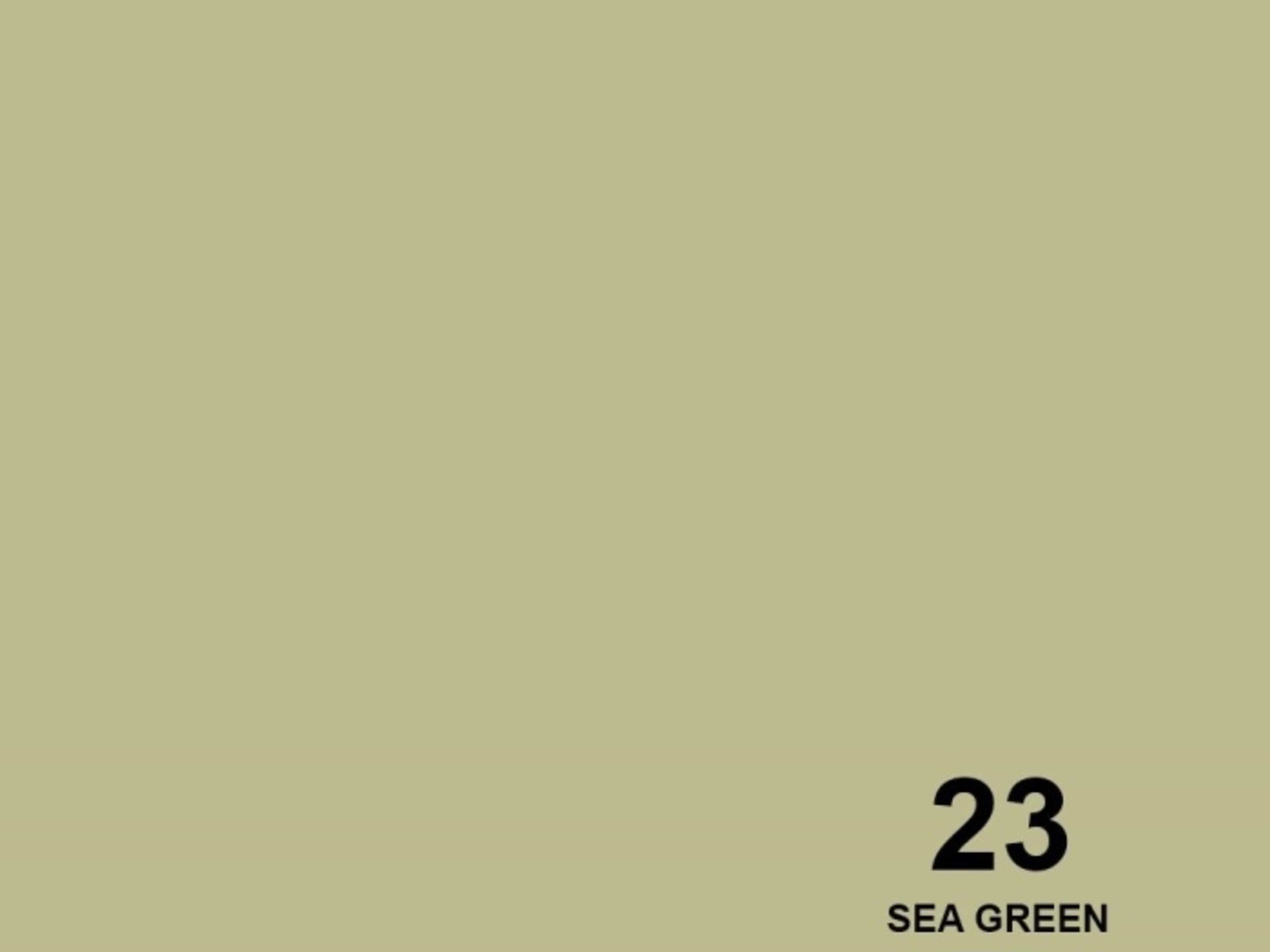 Seamless Paper 107 SEA GREEN