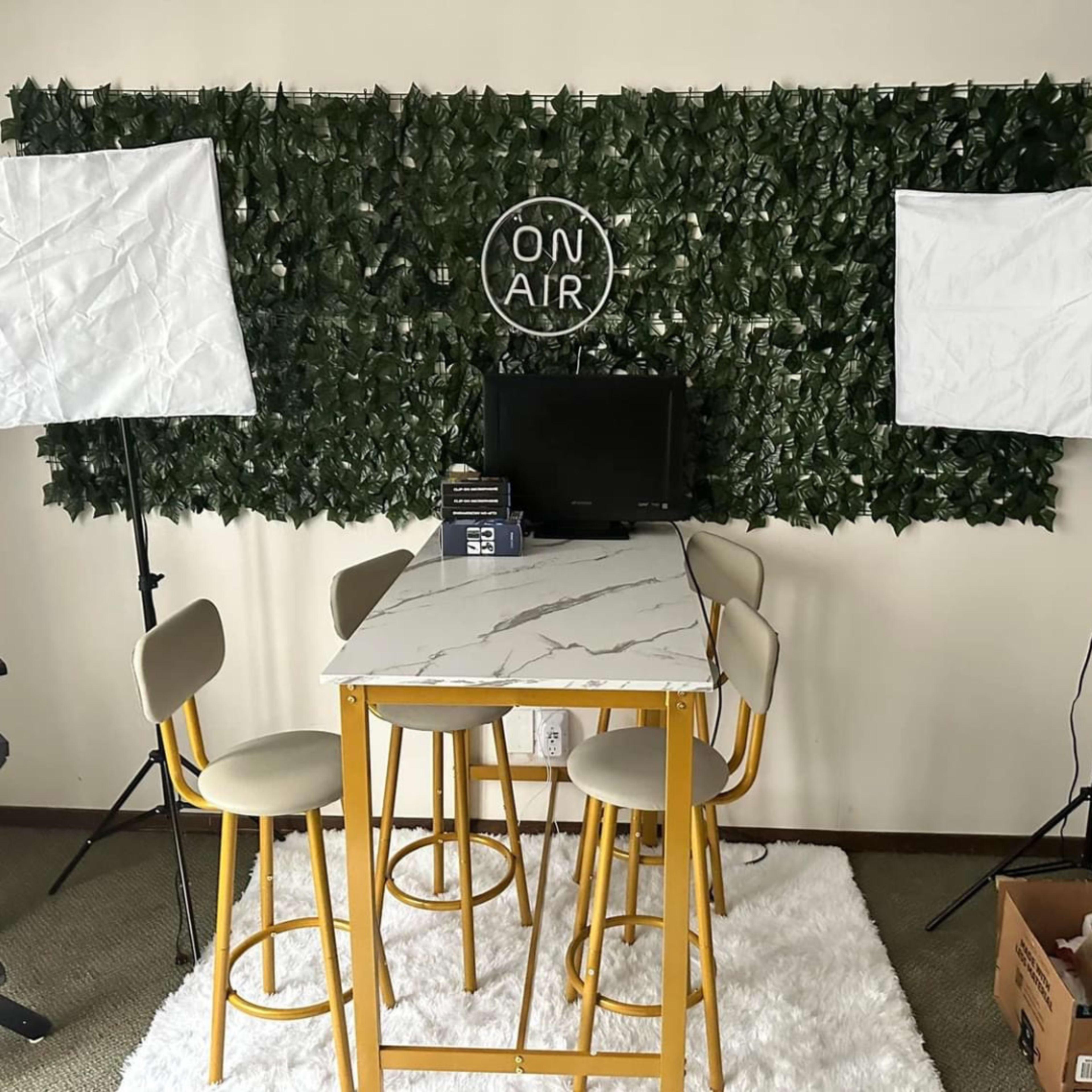 A small studio setup features a marble table, four stools, a television, and two softbox lights against a backdrop of artificial greenery with an "ON AIR" sign.
