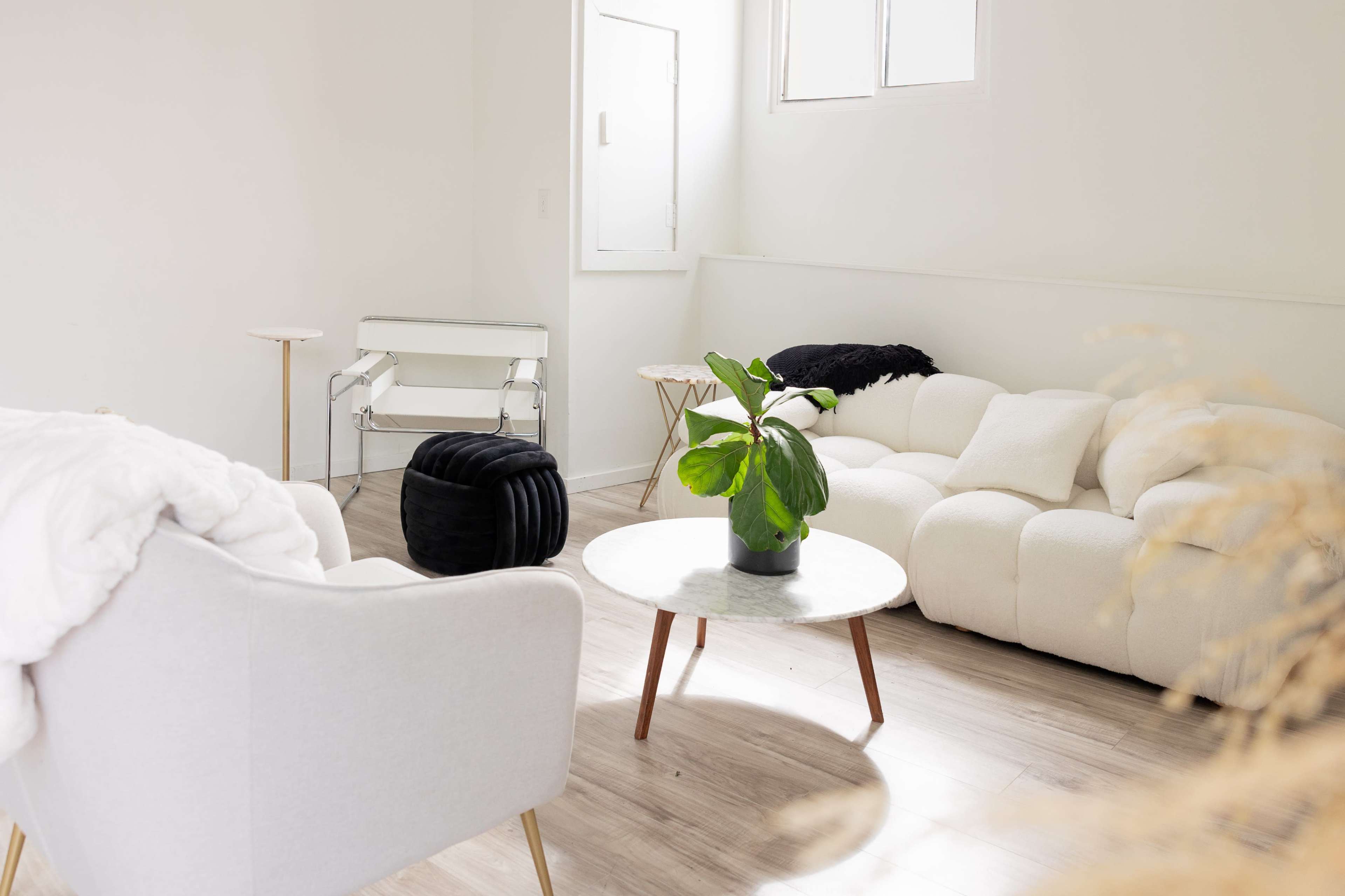 The living room features a light-colored couch, a round coffee table with a plant on it, and minimalist furniture against a bright white wall.