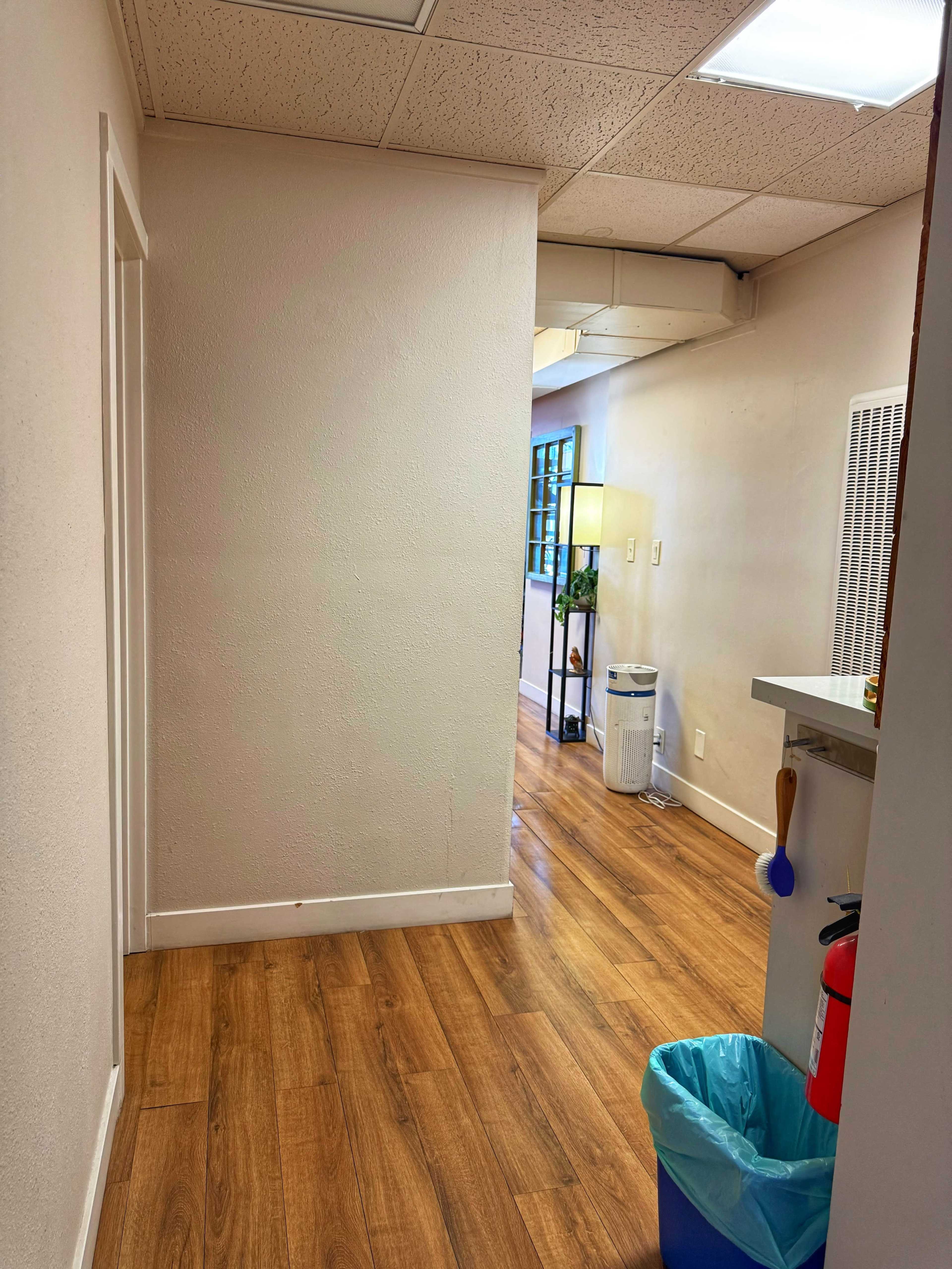 The image shows a narrow hallway with light-colored walls, wooden flooring, and doors on the left side, leading to a well-lit area with a small table and a plant.