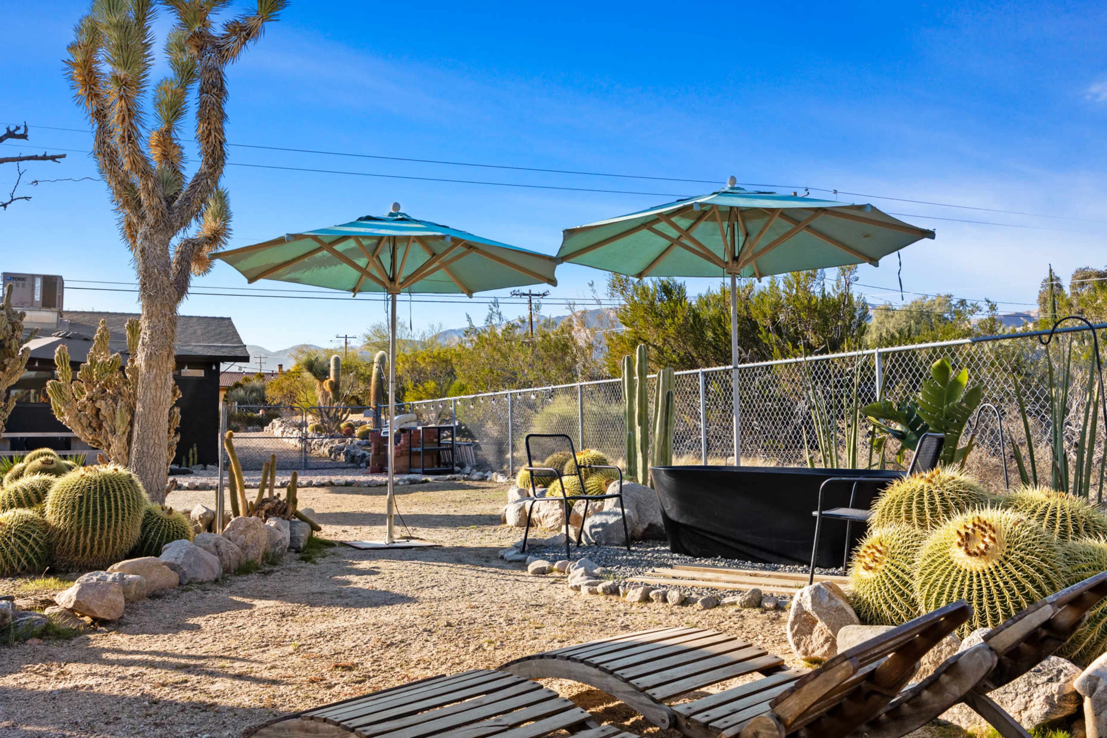 A desert home sitting in a cactus-filled botanical garden Image in , MORONGO VALLEY, CA