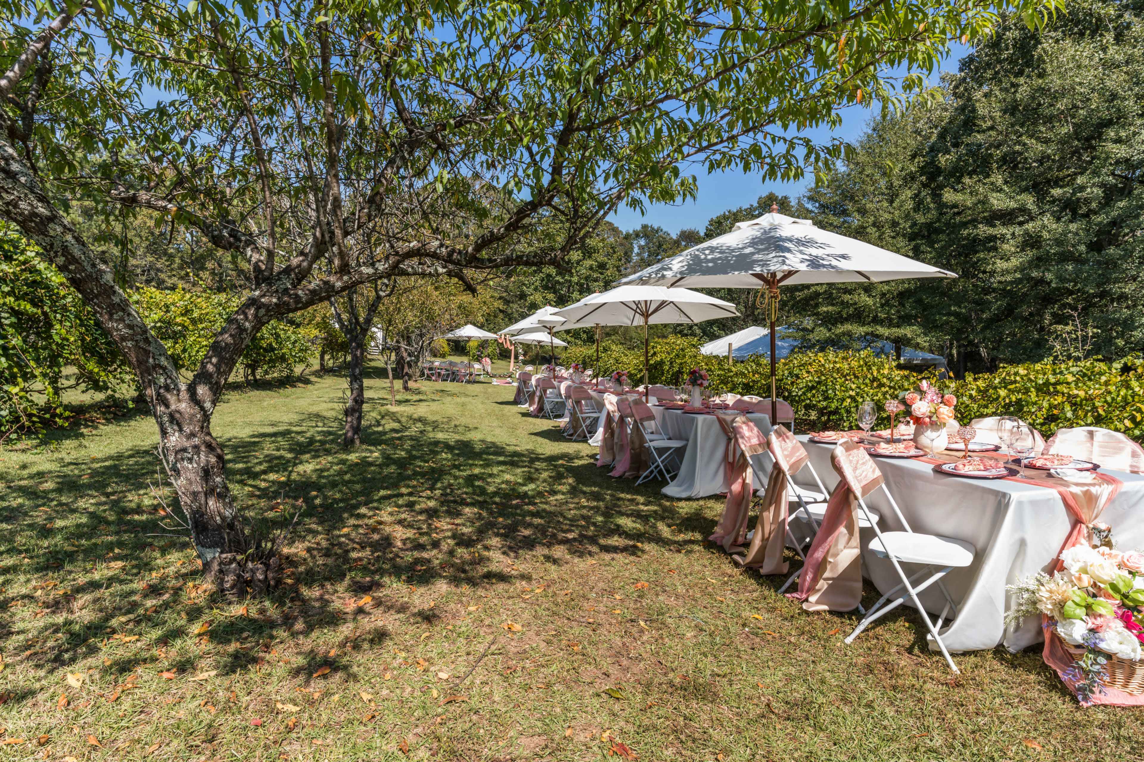 Southern Vineyard & Orchard Venue w/Beautiful Garden Pavilion for Celebrations | 20 Mins South of Atlanta Image in , Jonesboro, GA
