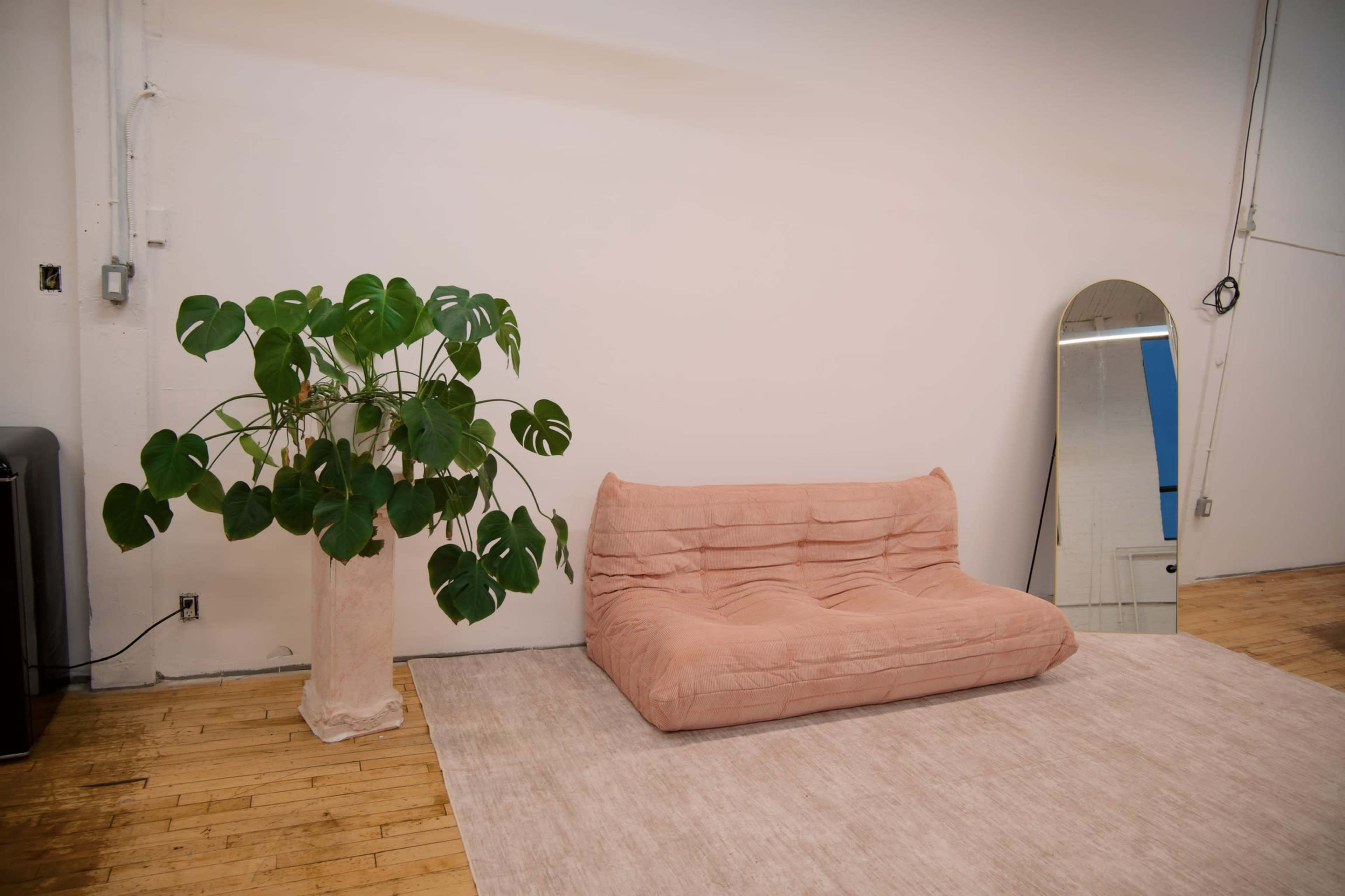 The image shows a minimalist interior with a light pink sofa, a large leafy plant in a pale pot, a rug, and a tall mirror against a white wall.