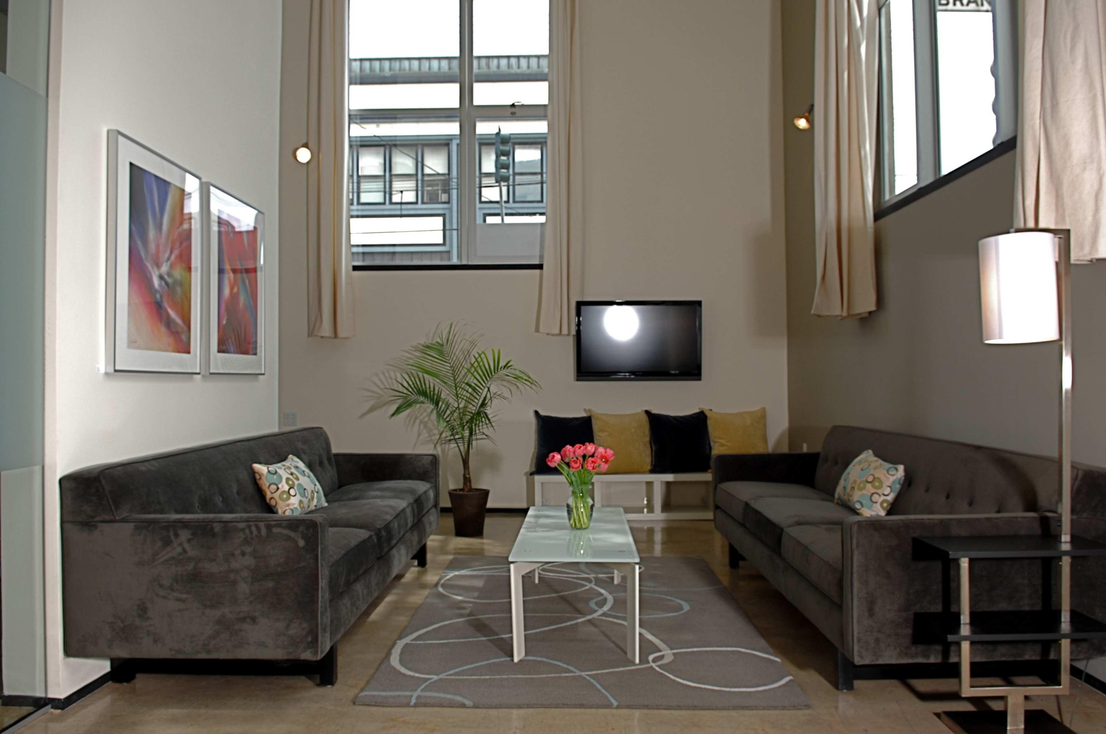 A modern living room with two gray sofas facing a coffee table, a potted plant in one corner, and a wall-mounted television above the table.