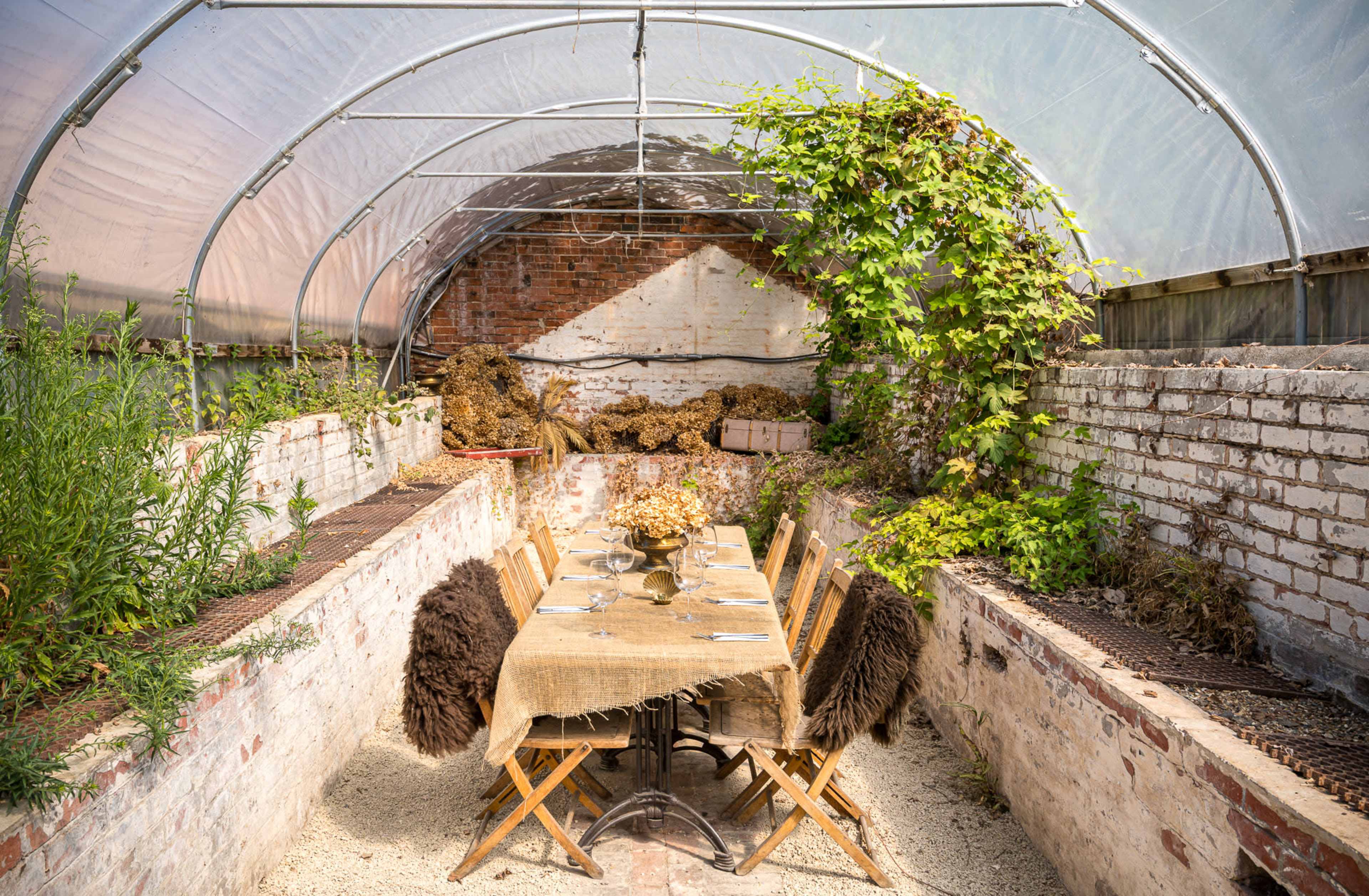 A long dining table is set in a greenhouse, surrounded by plants and vines along the walls, with a rustic ambiance.