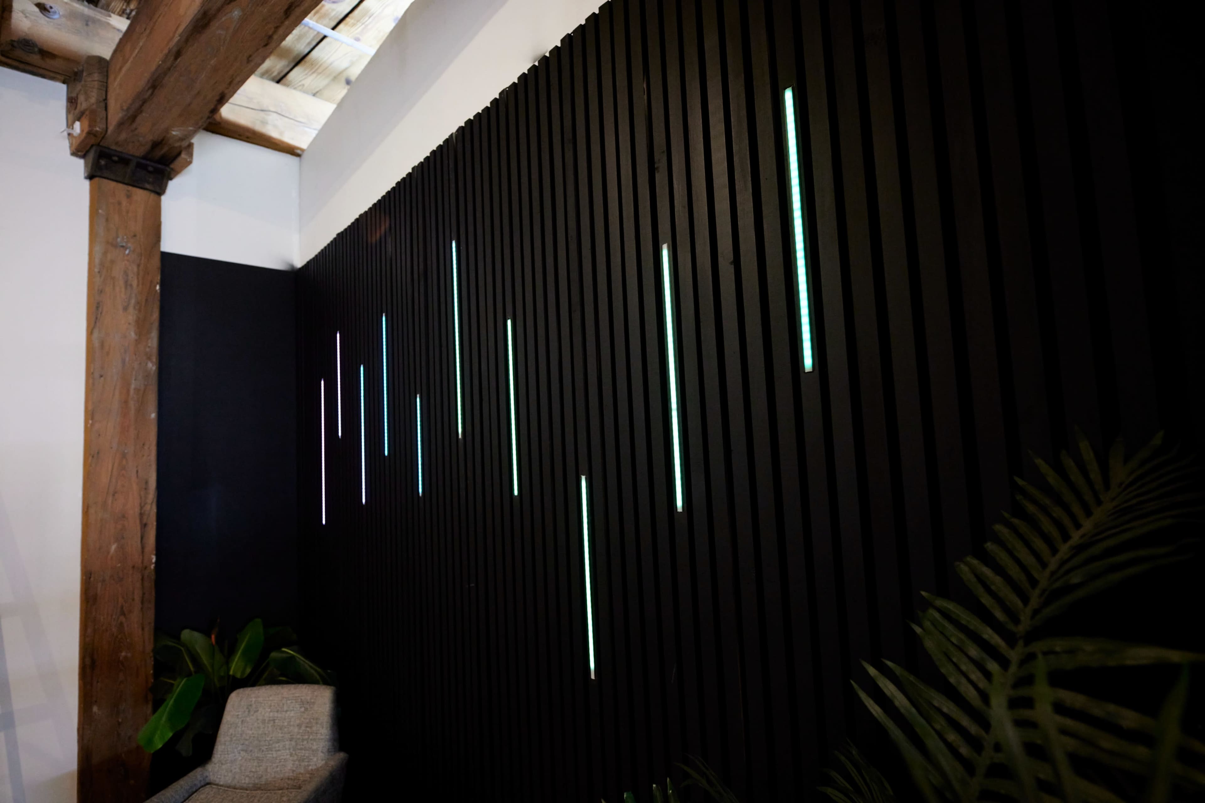 The image features a black wall with vertical light strips in varying colors, alongside a green leafy plant and a light-colored sofa.