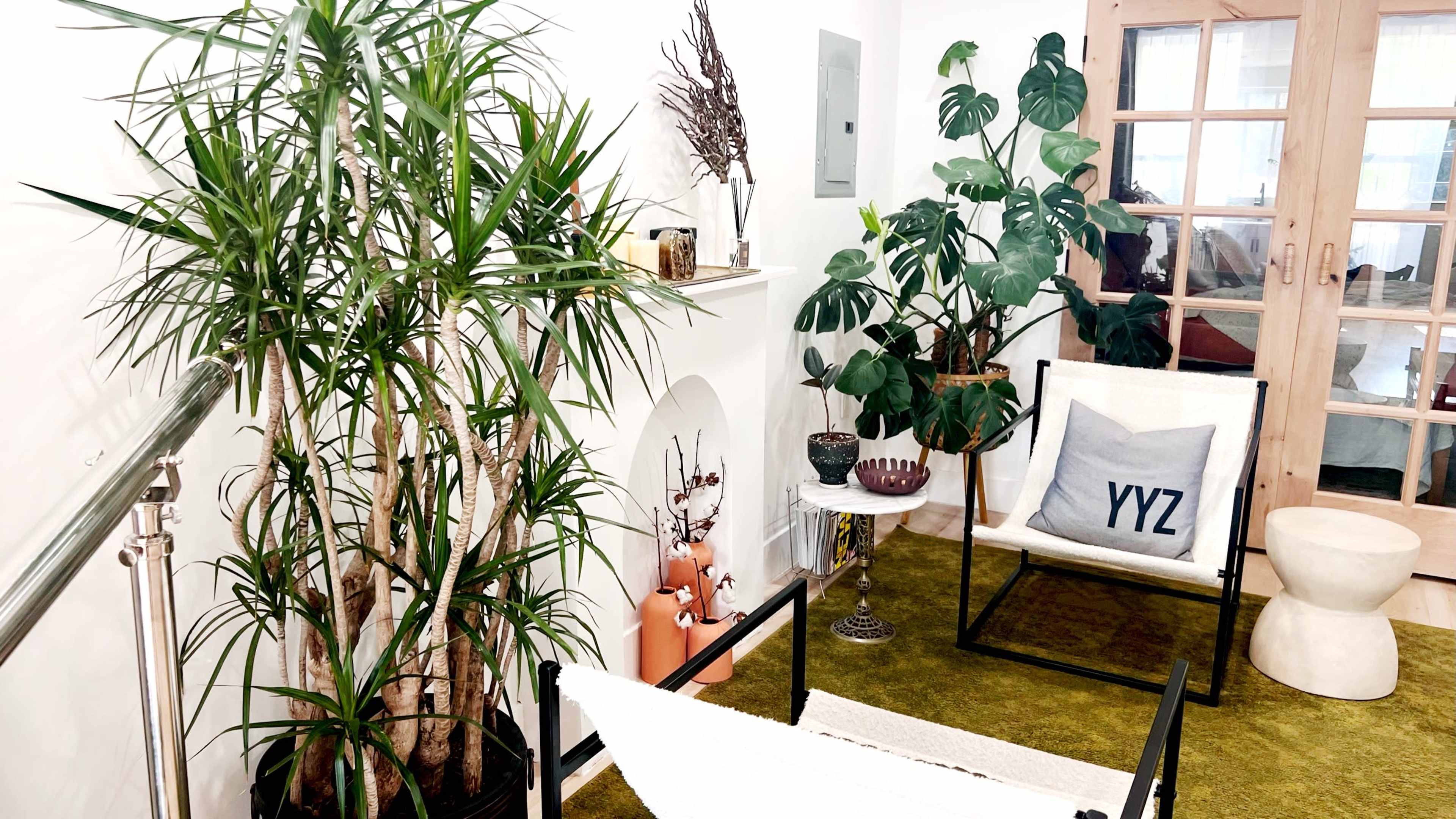 A cozy indoor space with potted plants, a minimalist black and white seating arrangement, and a decorative side table, all set against a light-colored wall.
